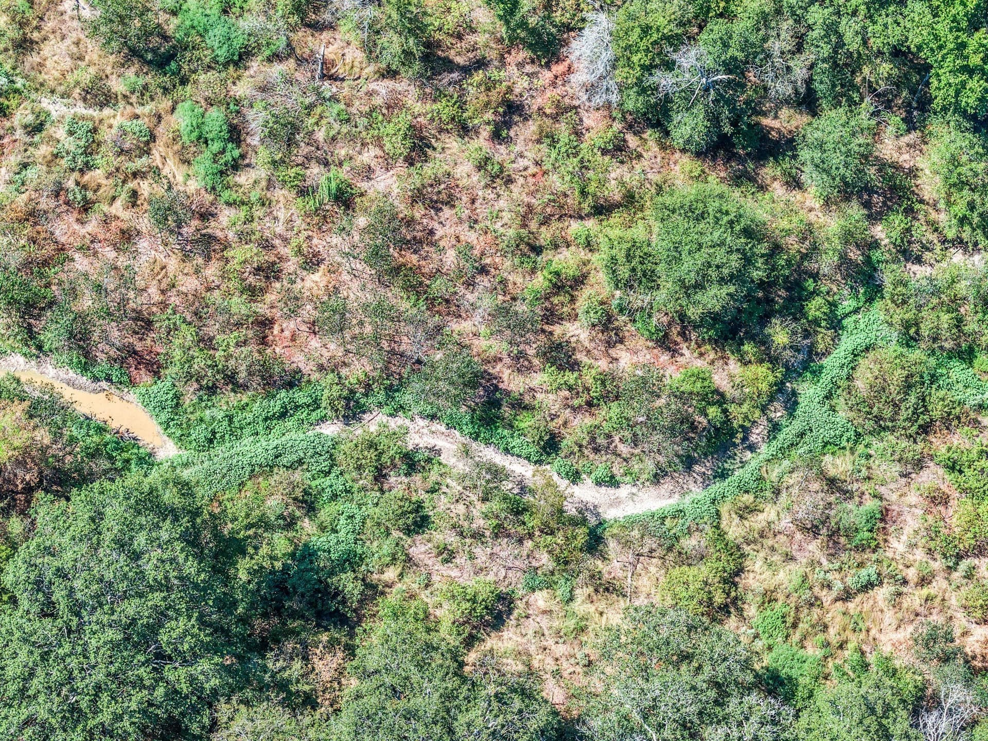 178 acres in Lamar County - photo 7