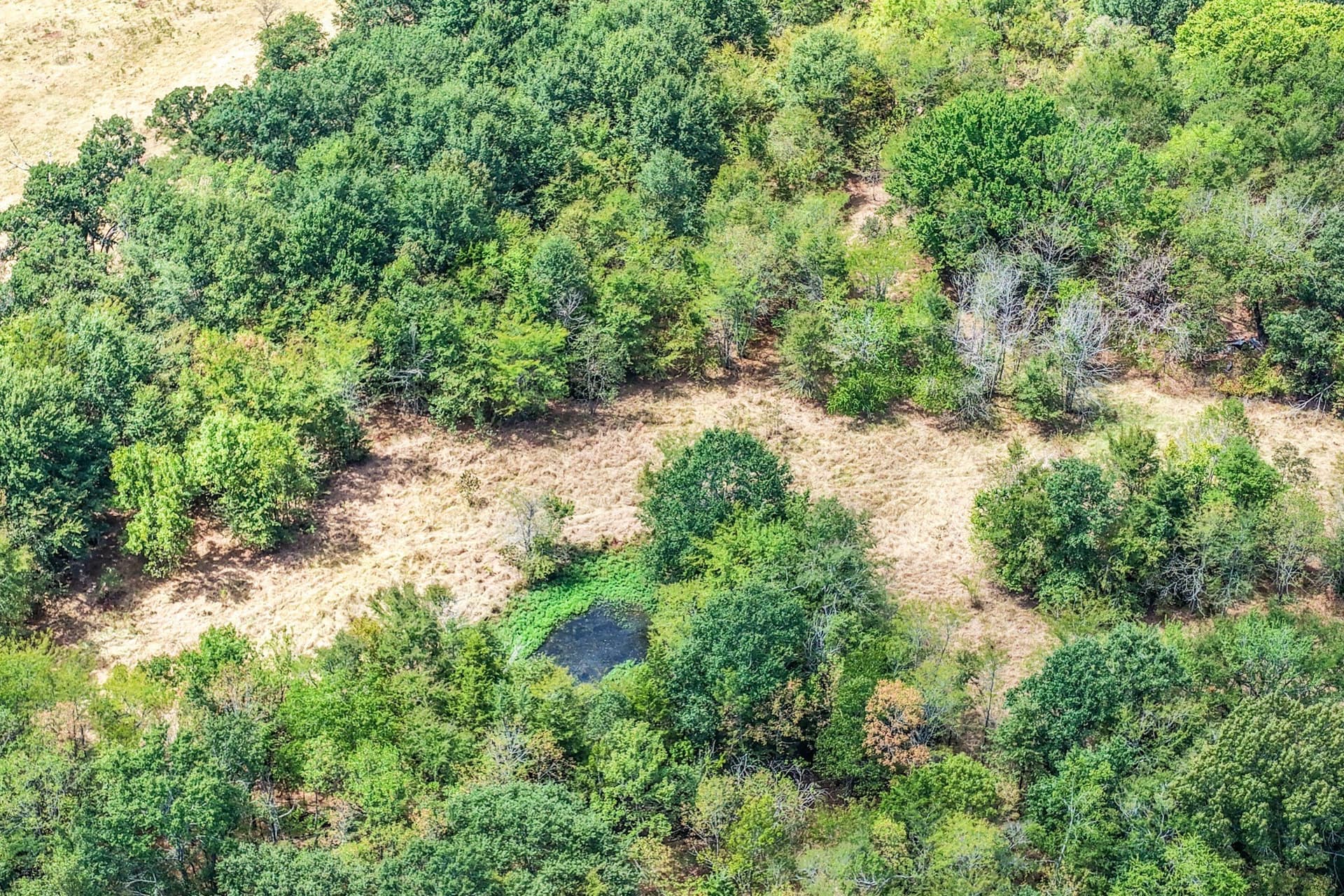 178 acres in Lamar County - photo 17
