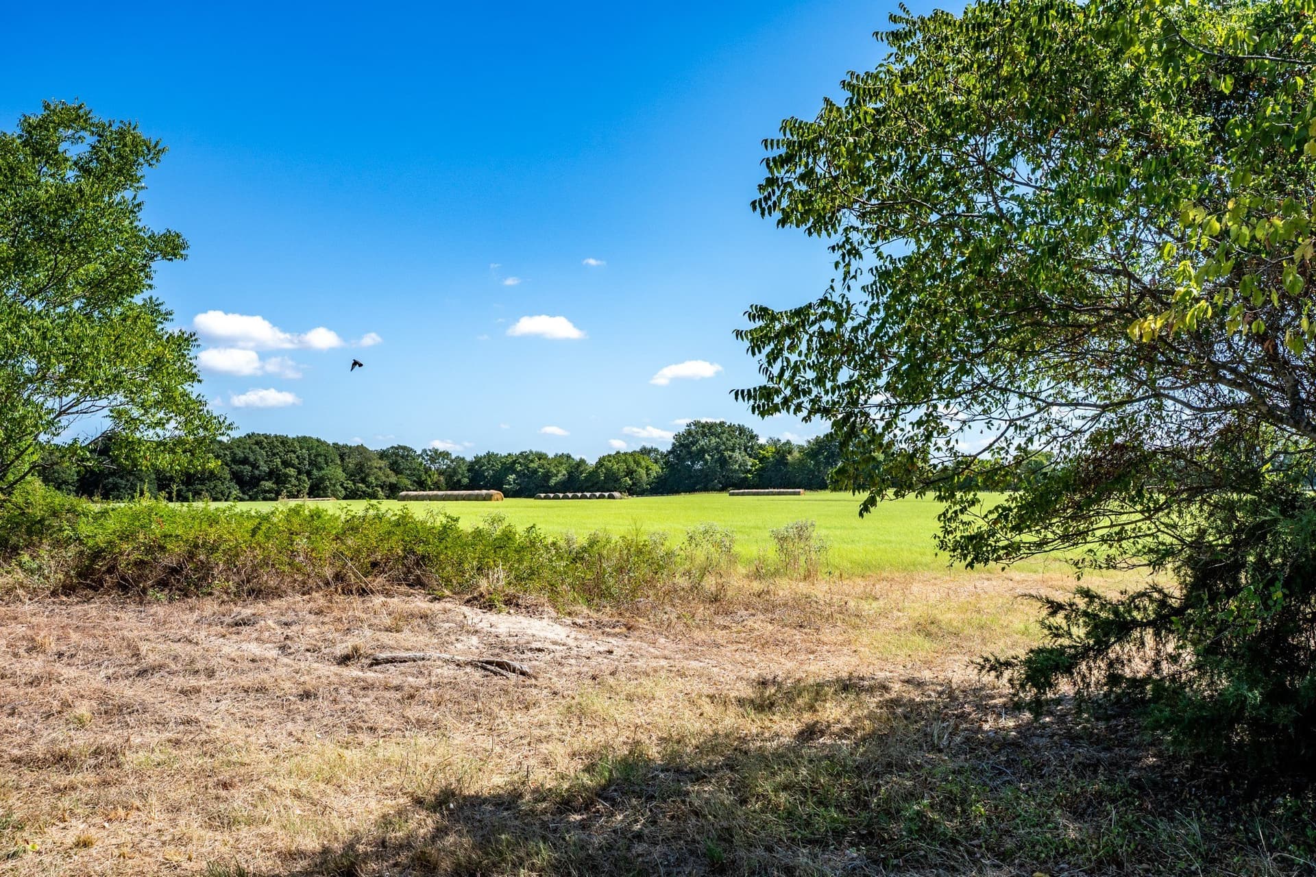 178 acres in Lamar County - photo 39