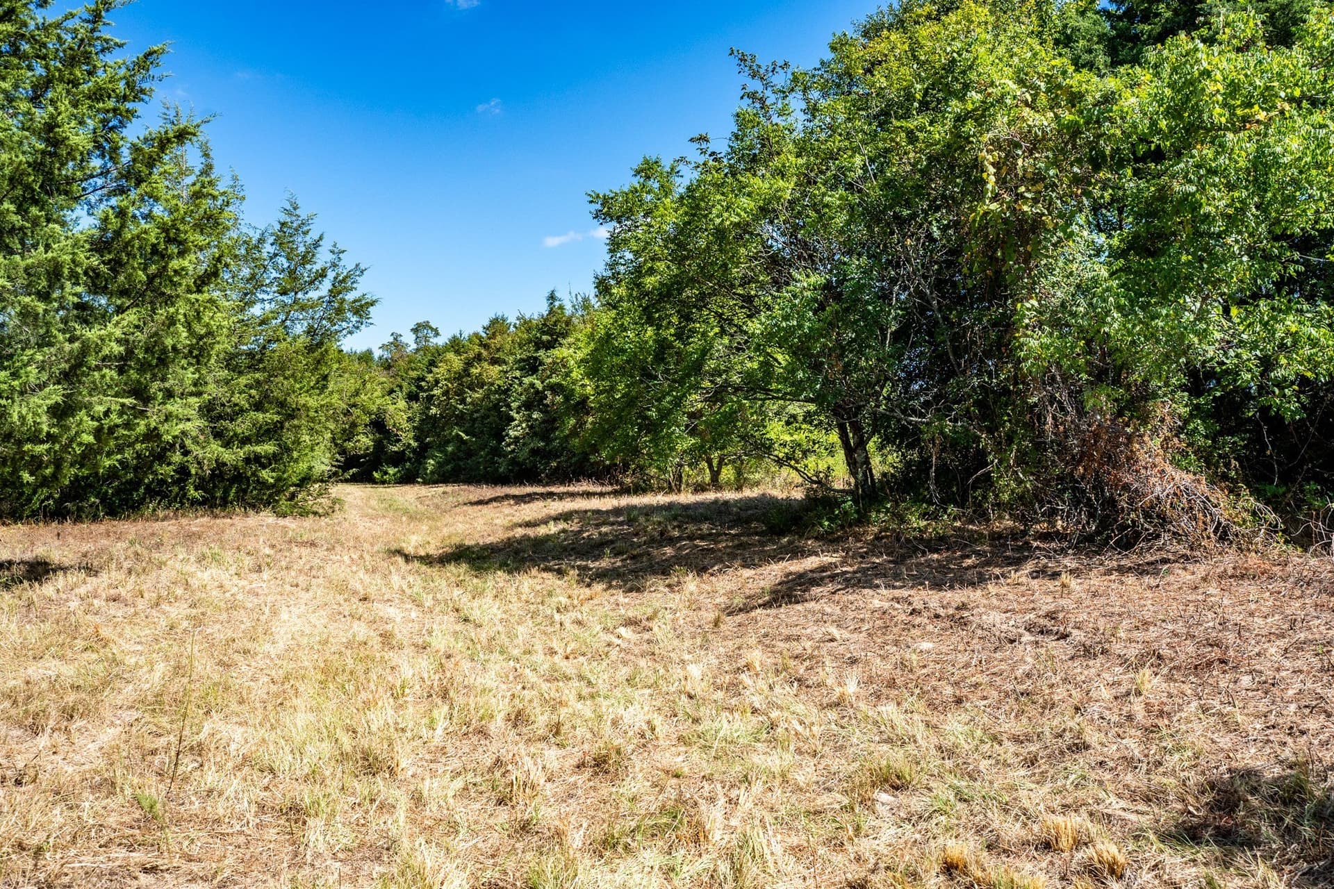 178 acres in Lamar County - photo 40