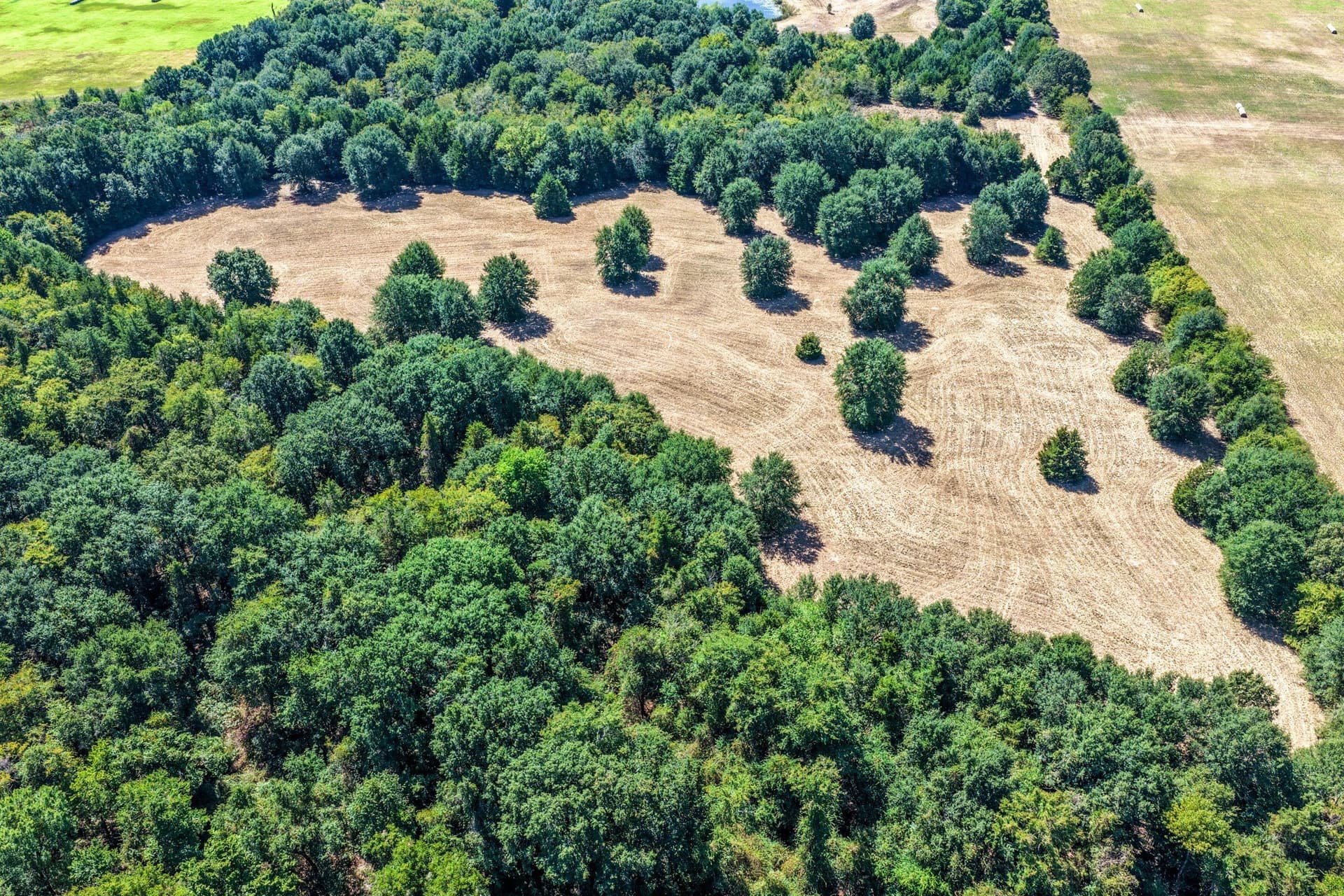 178 acres in Lamar County - photo 8