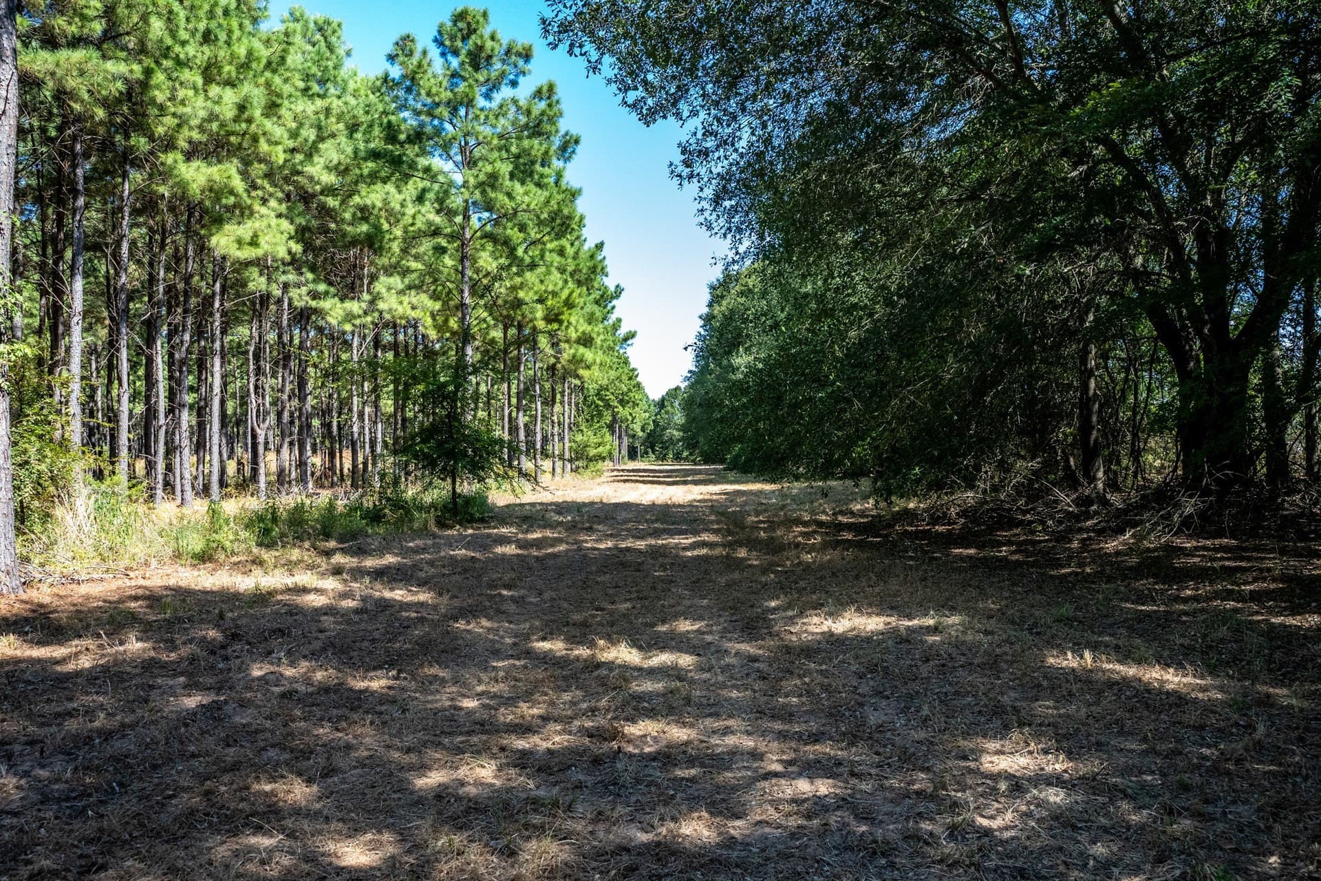178 acres in Lamar County - photo 30