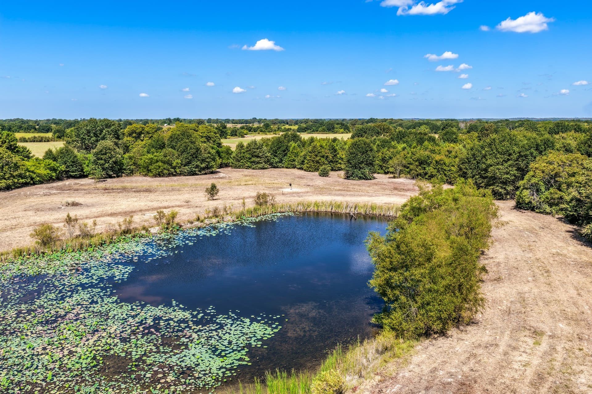 178 acres in Lamar County