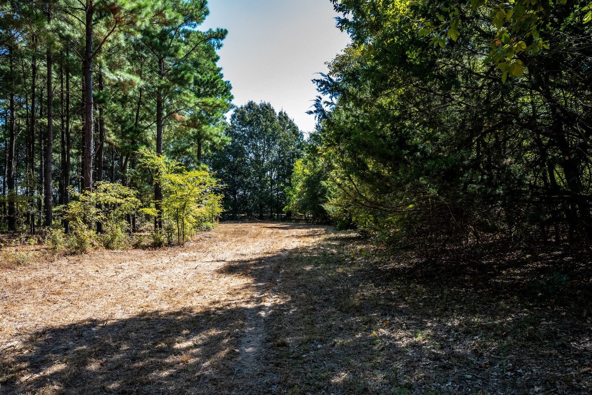 178 acres in Lamar County - photo 28