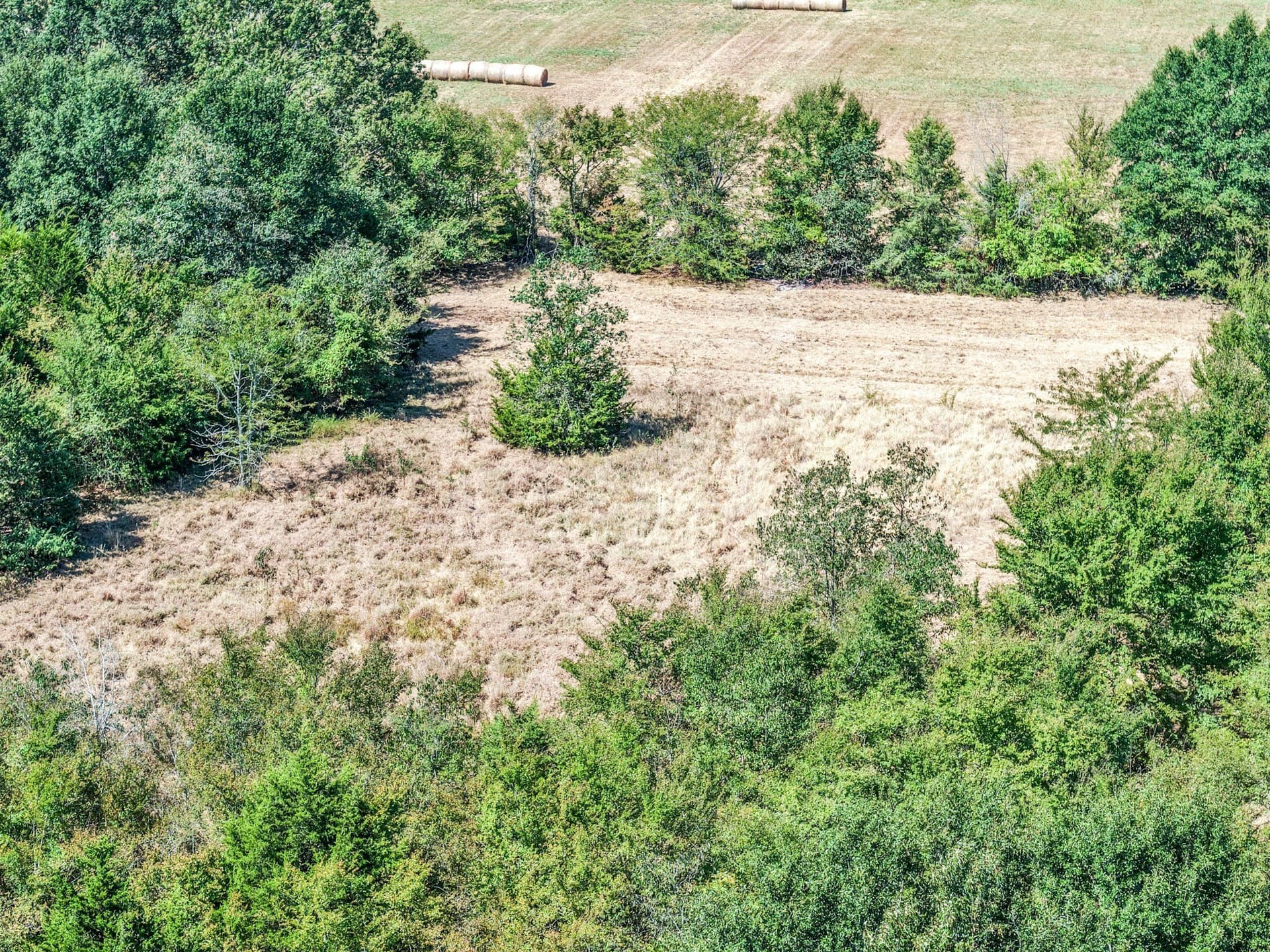 178 acres in Lamar County - photo 13