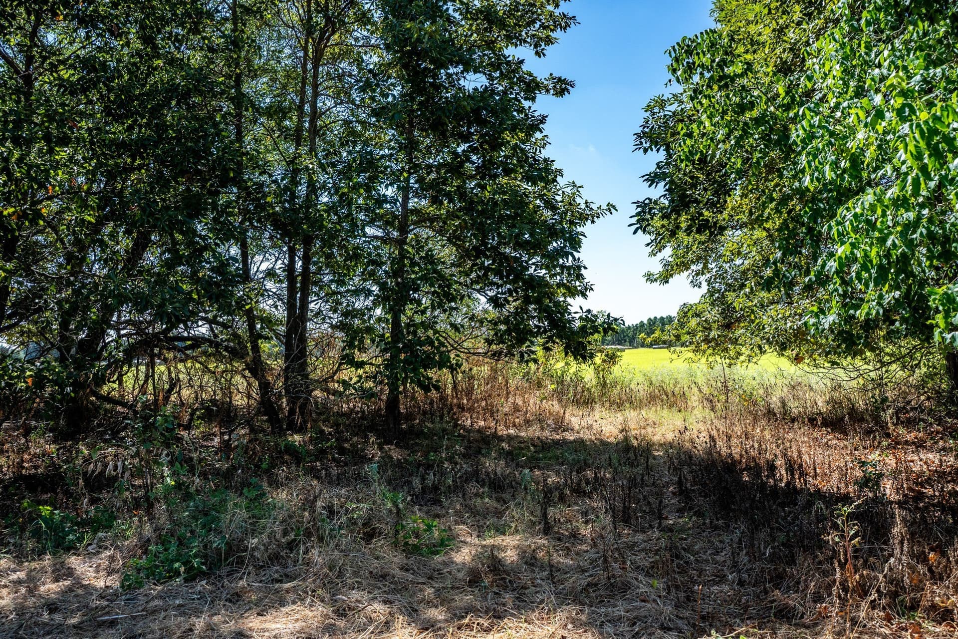 178 acres in Lamar County - photo 36