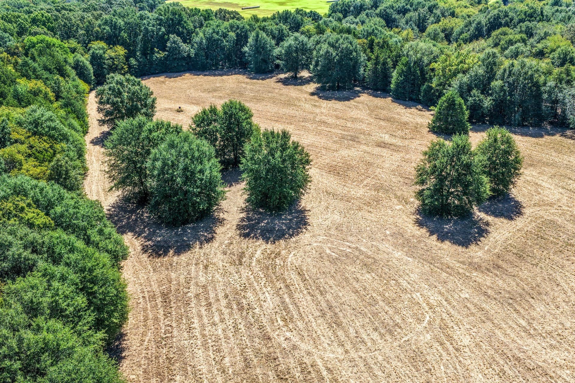 178 acres in Lamar County - photo 9