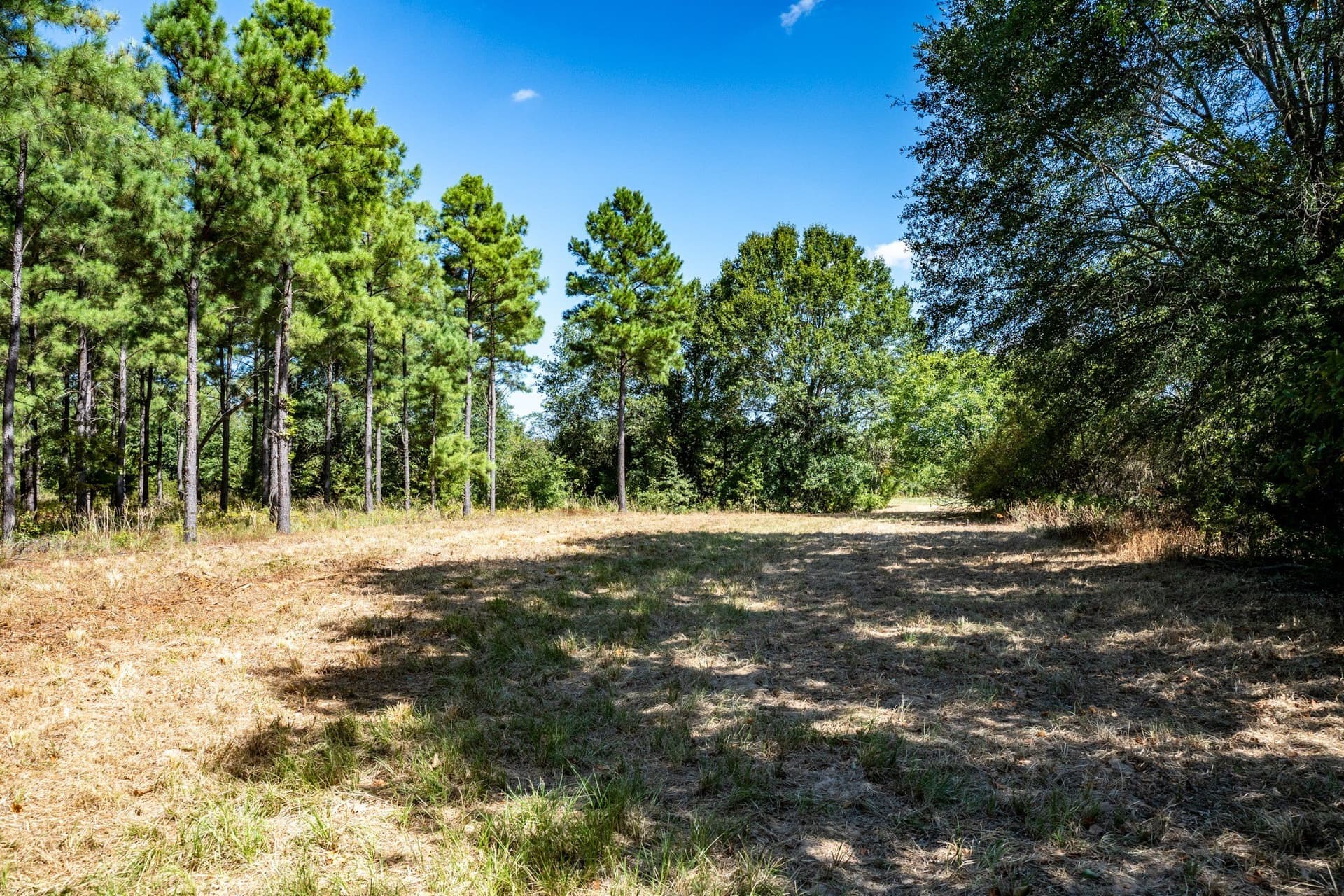 178 acres in Lamar County - photo 33