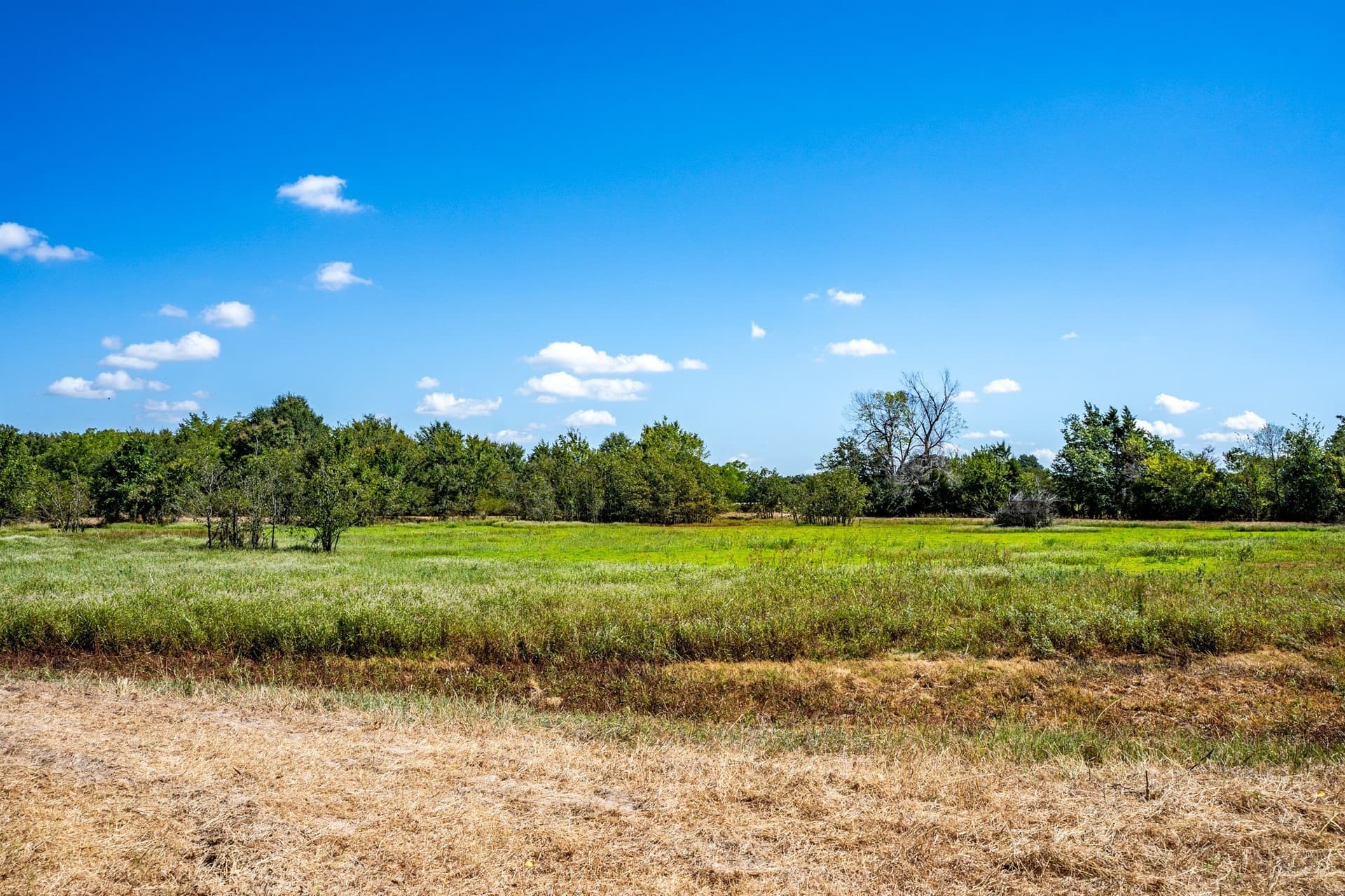 178 acres in Lamar County - photo 34