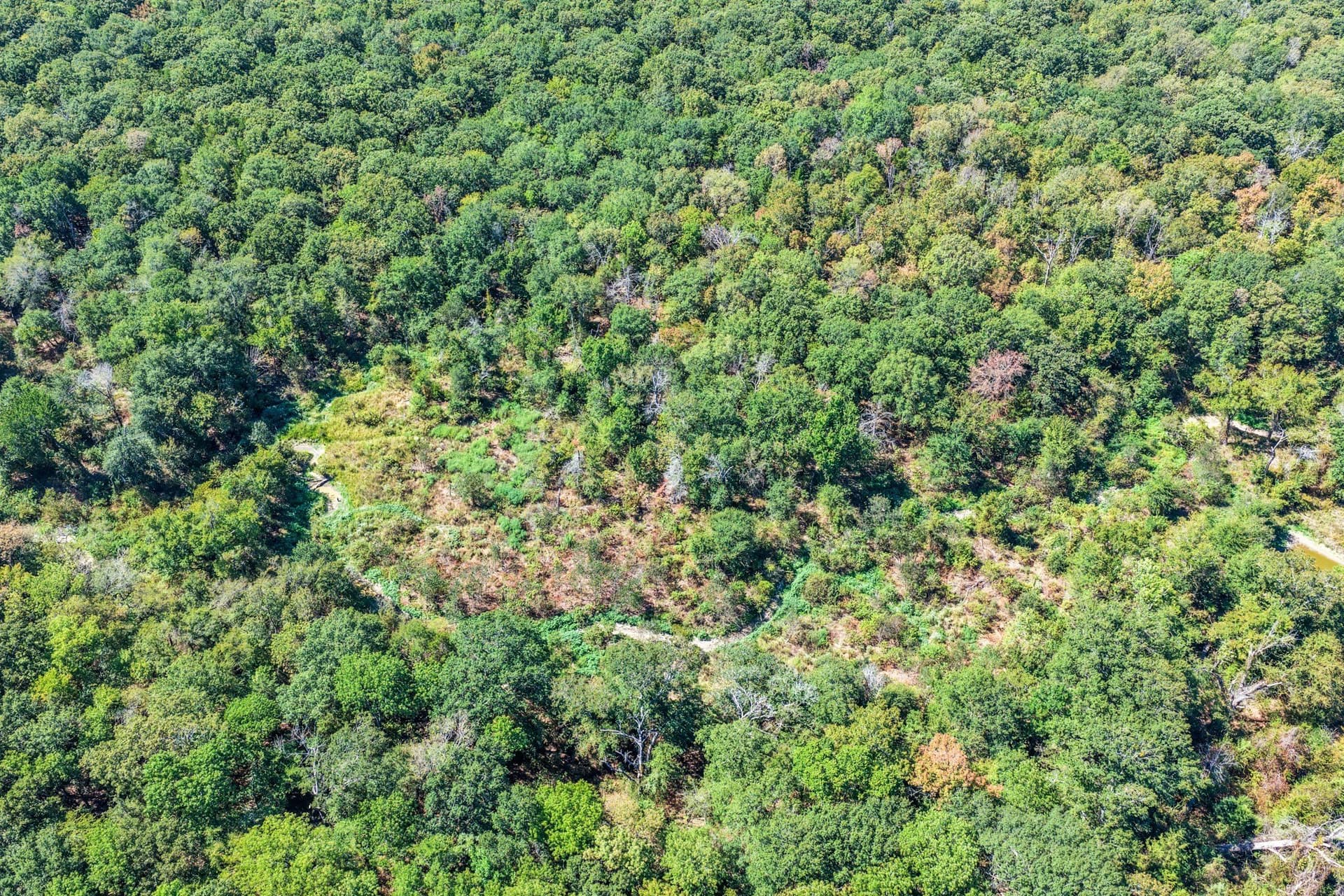 178 acres in Lamar County - photo 5