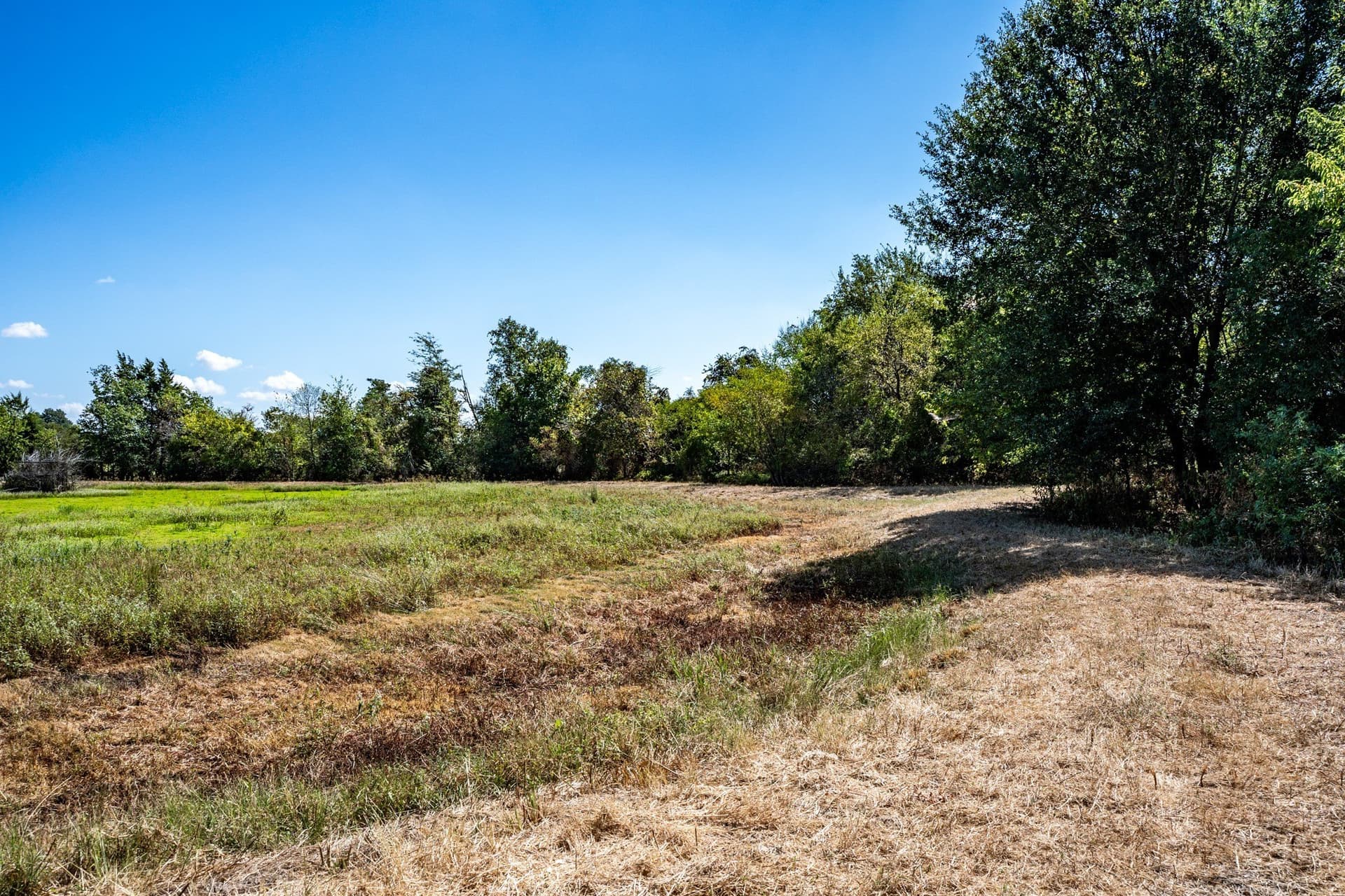 178 acres in Lamar County - photo 35