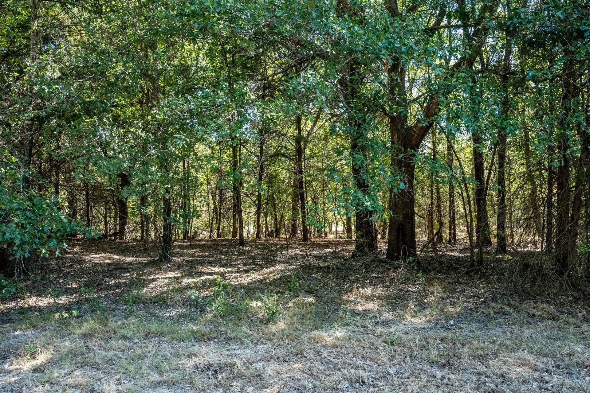 178 acres in Lamar County - photo 25