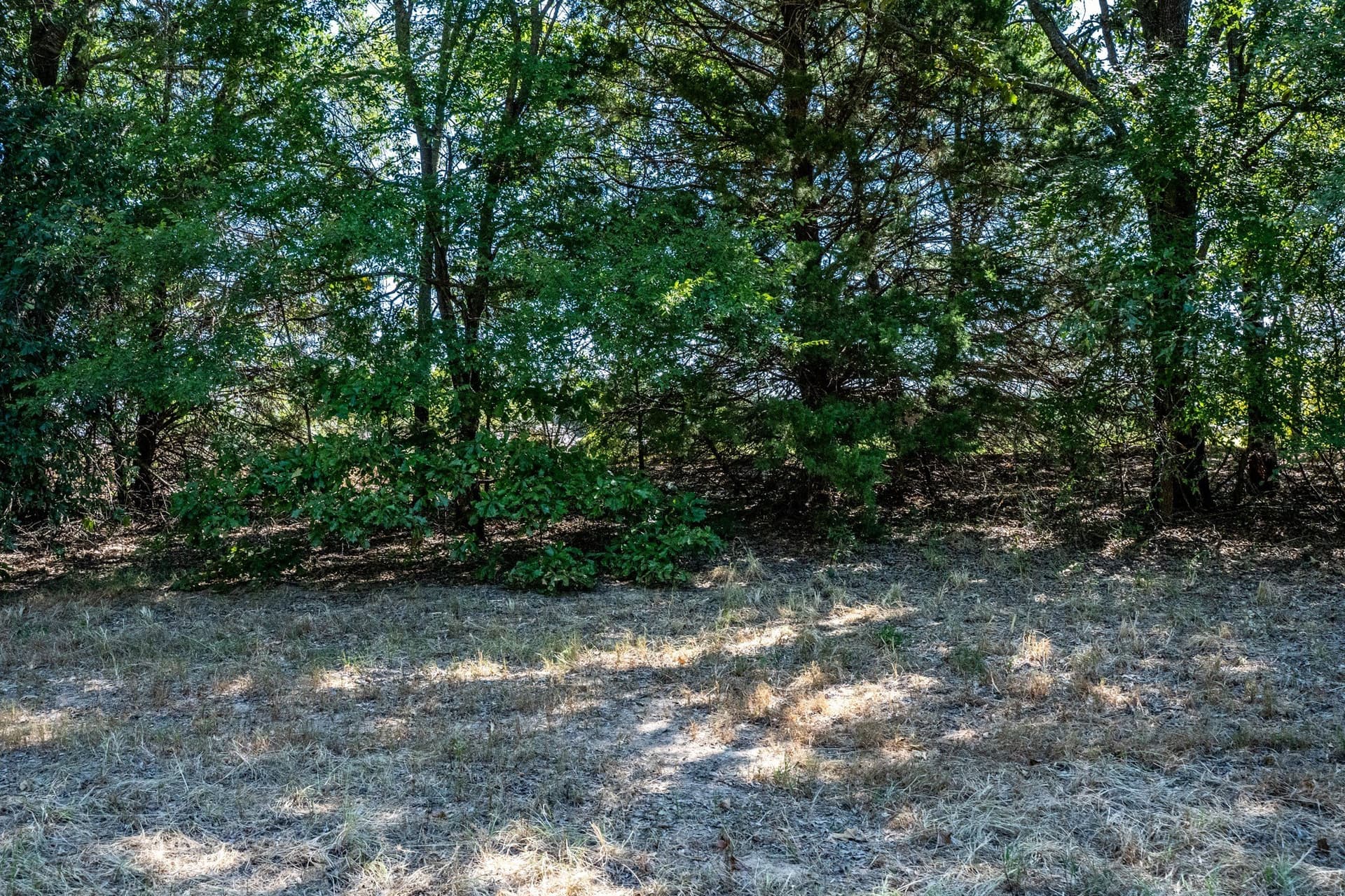178 acres in Lamar County - photo 29