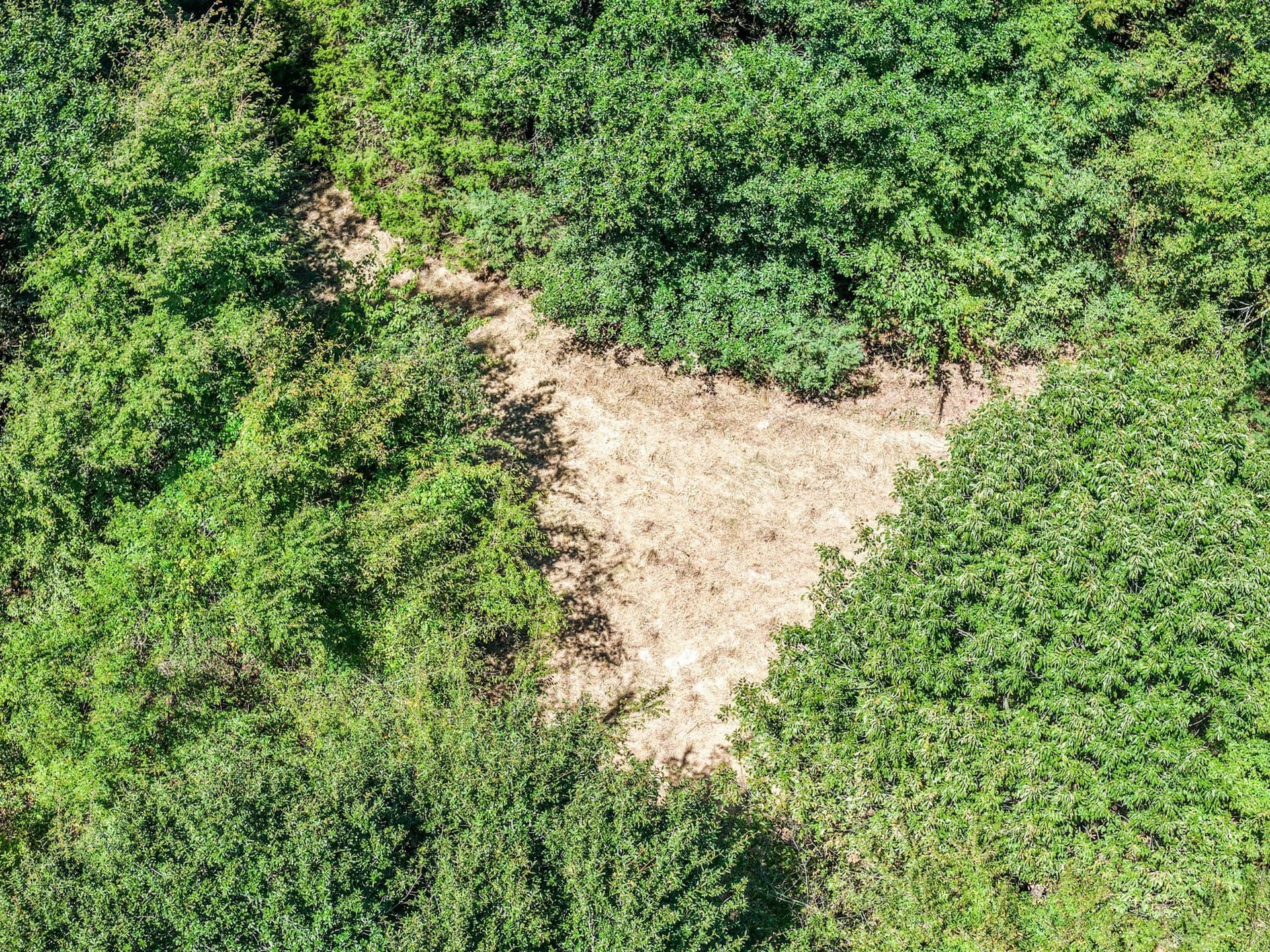178 acres in Lamar County - photo 12
