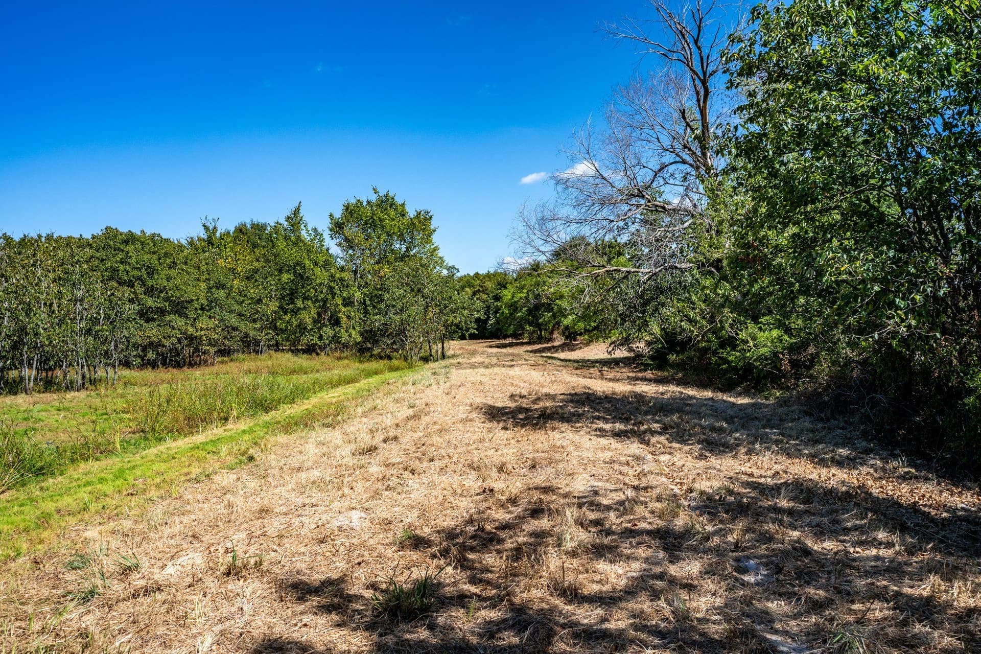 178 acres in Lamar County - photo 38