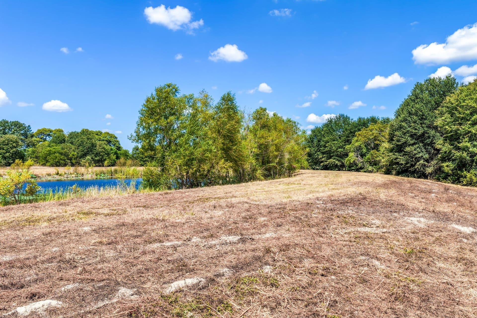178 acres in Lamar County - photo 15