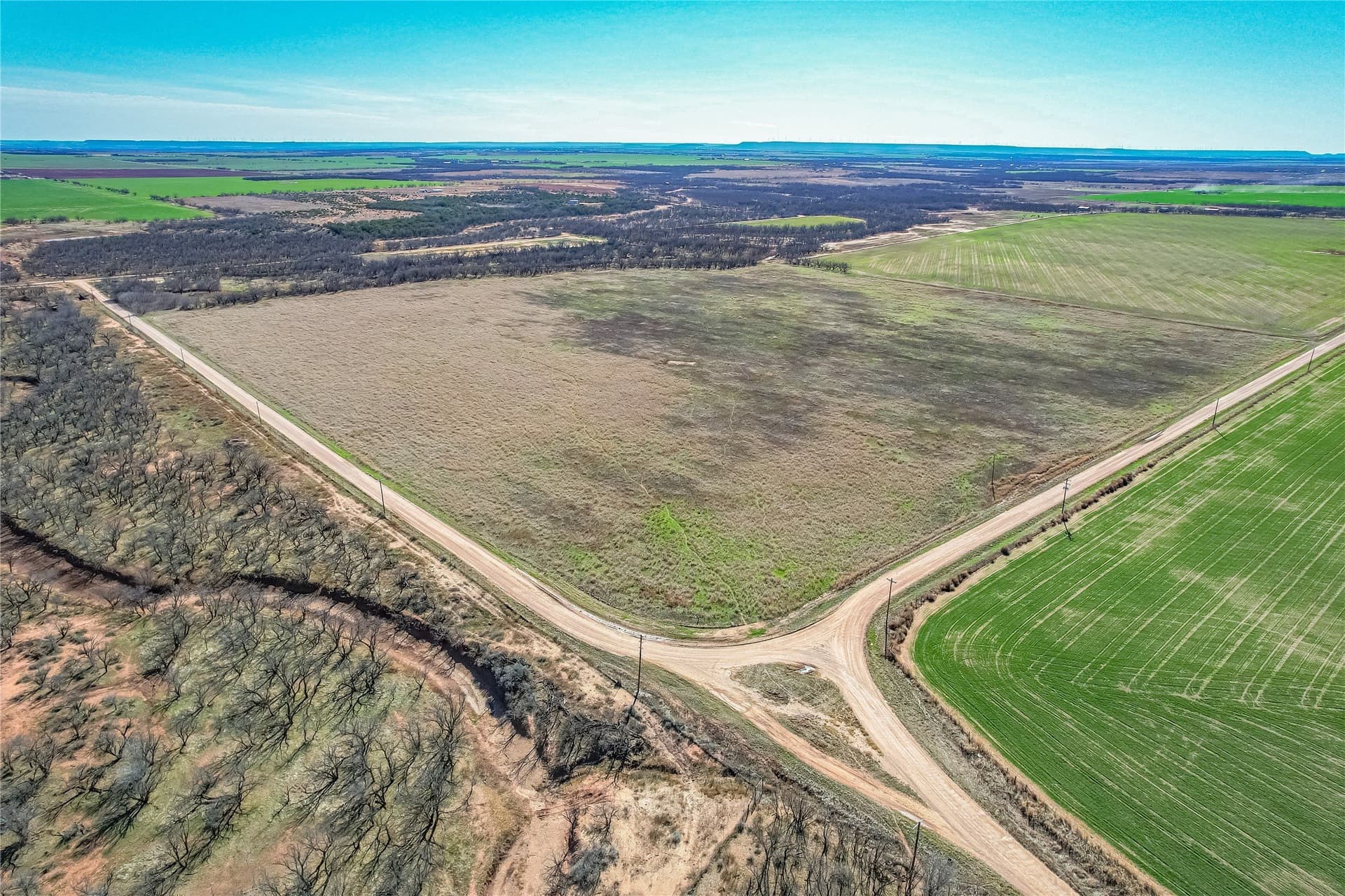 69.5 acres in Jones County featured view