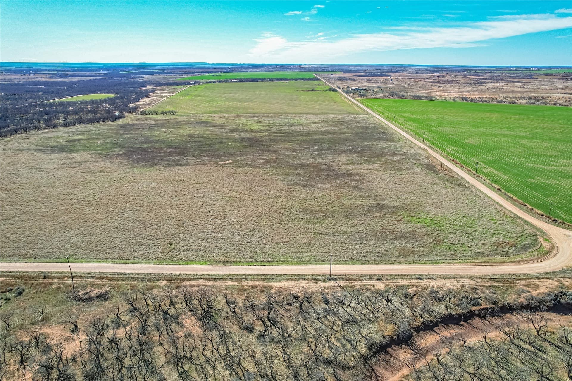 69.5 acres in Jones County - photo 6
