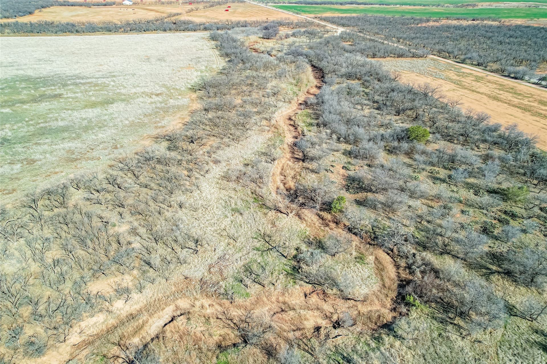69.5 acres in Jones County - photo 7