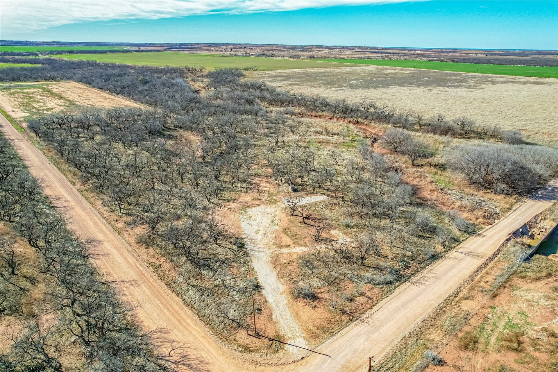 69.5 acres in Jones County - photo 10