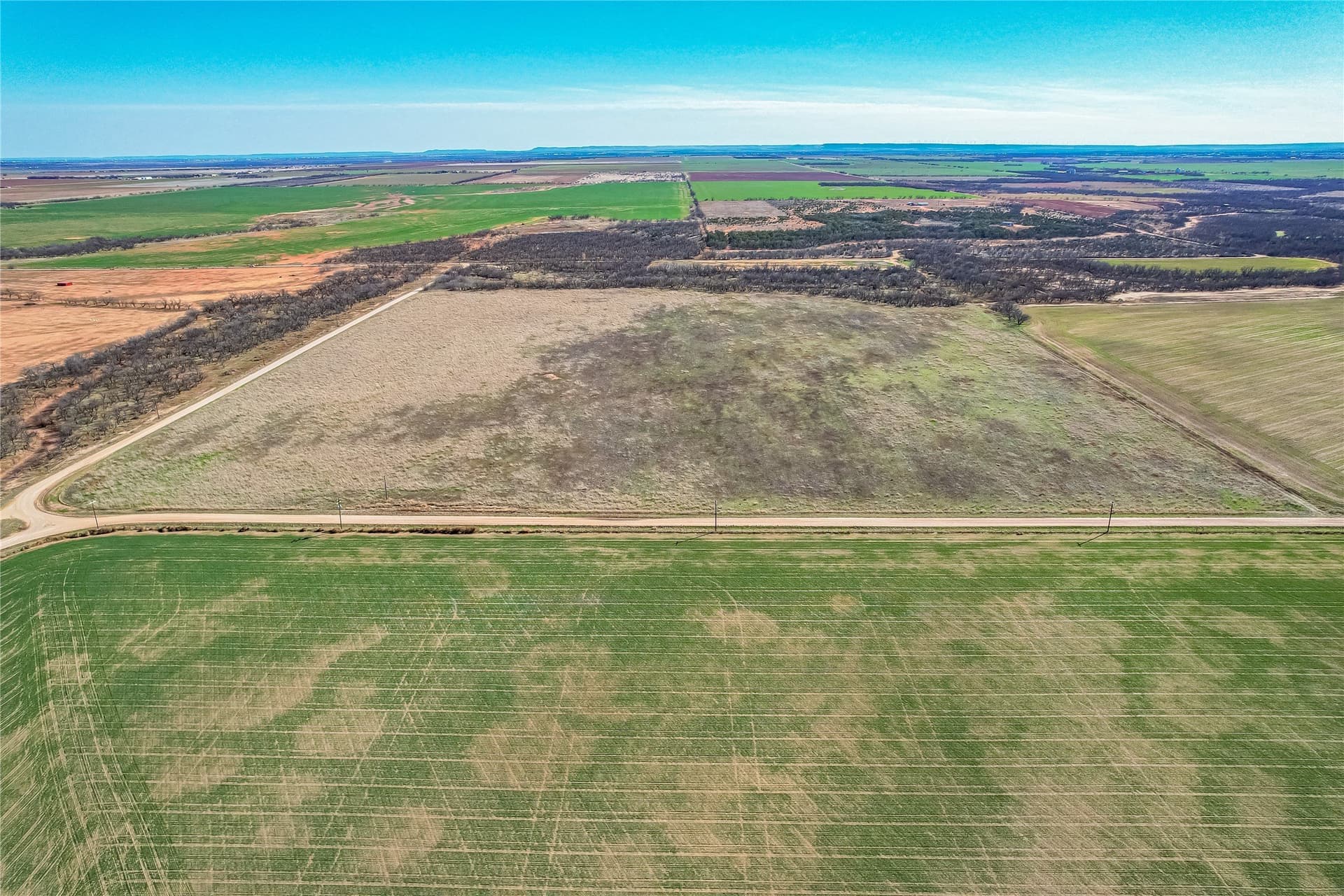 69.5 acres in Jones County gallery image 4