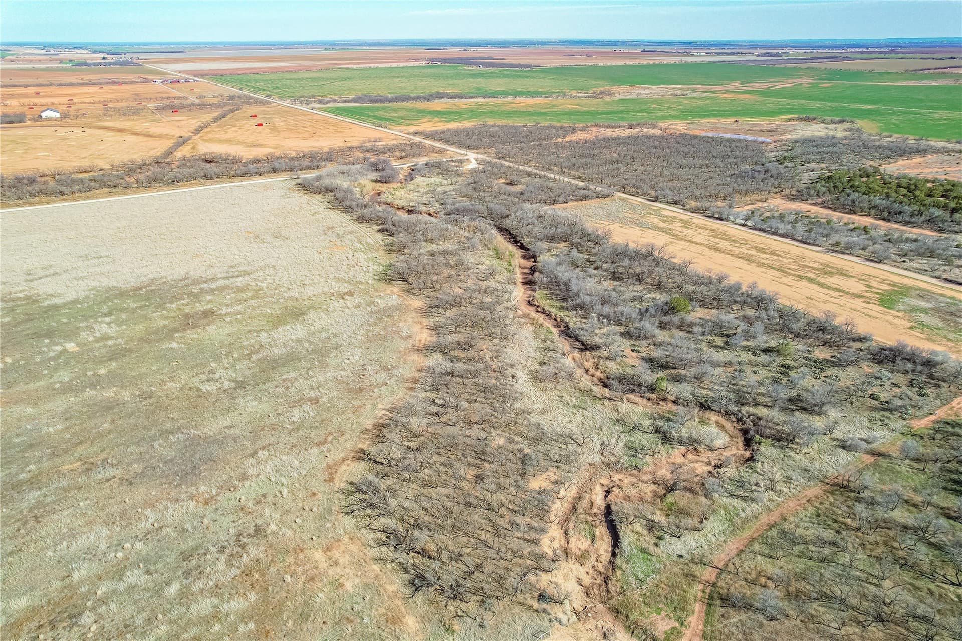 69.5 acres in Jones County - photo 9