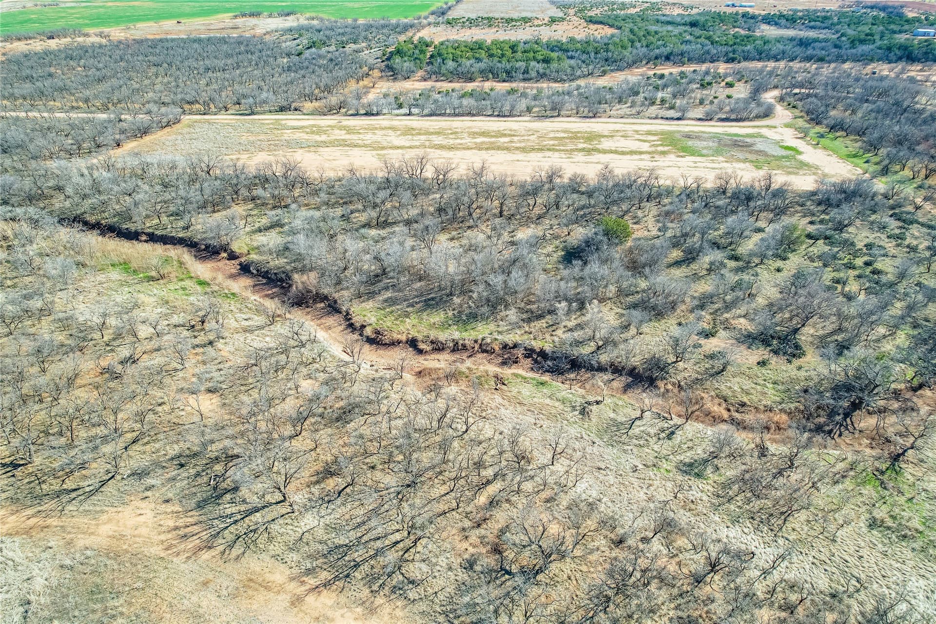 69.5 acres in Jones County - photo 8