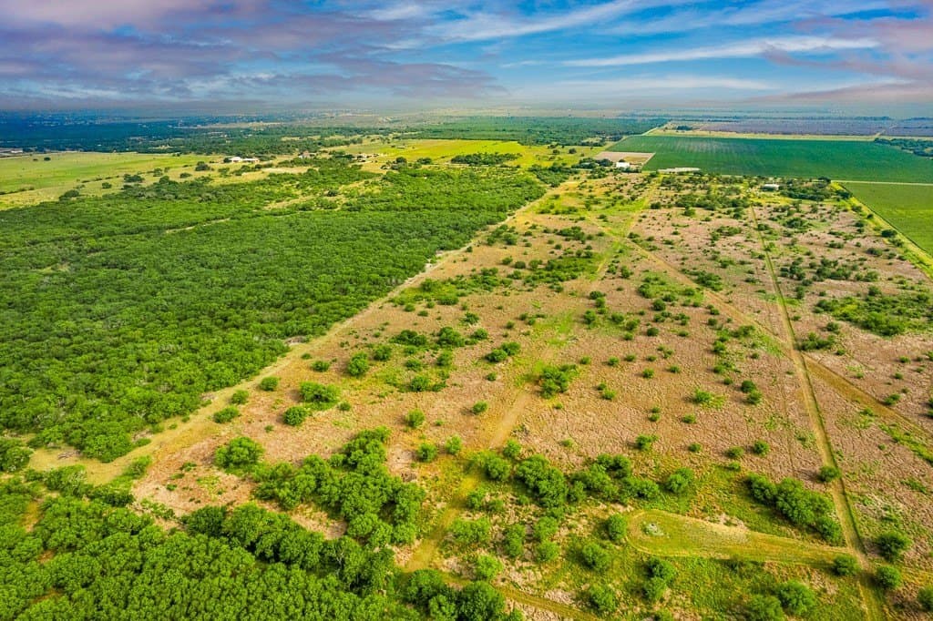 22.11 acres in San Patricio County - photo 13