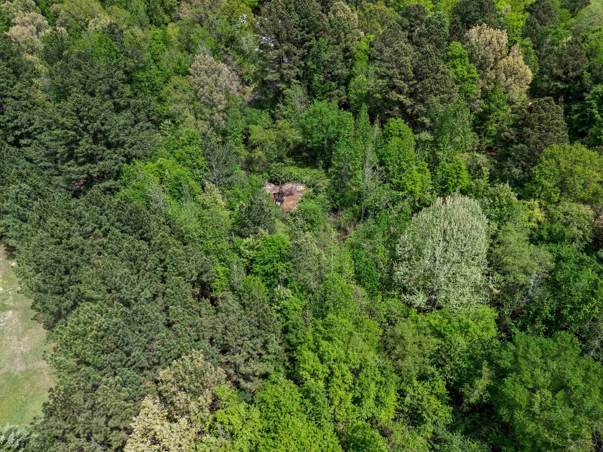16.99 acres in Gregg County - photo 18