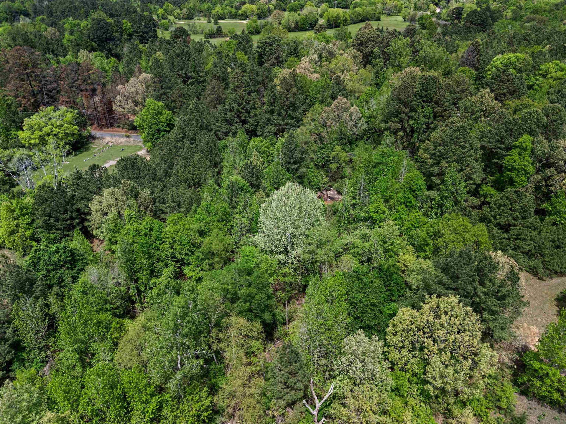 16.99 acres in Gregg County - photo 17