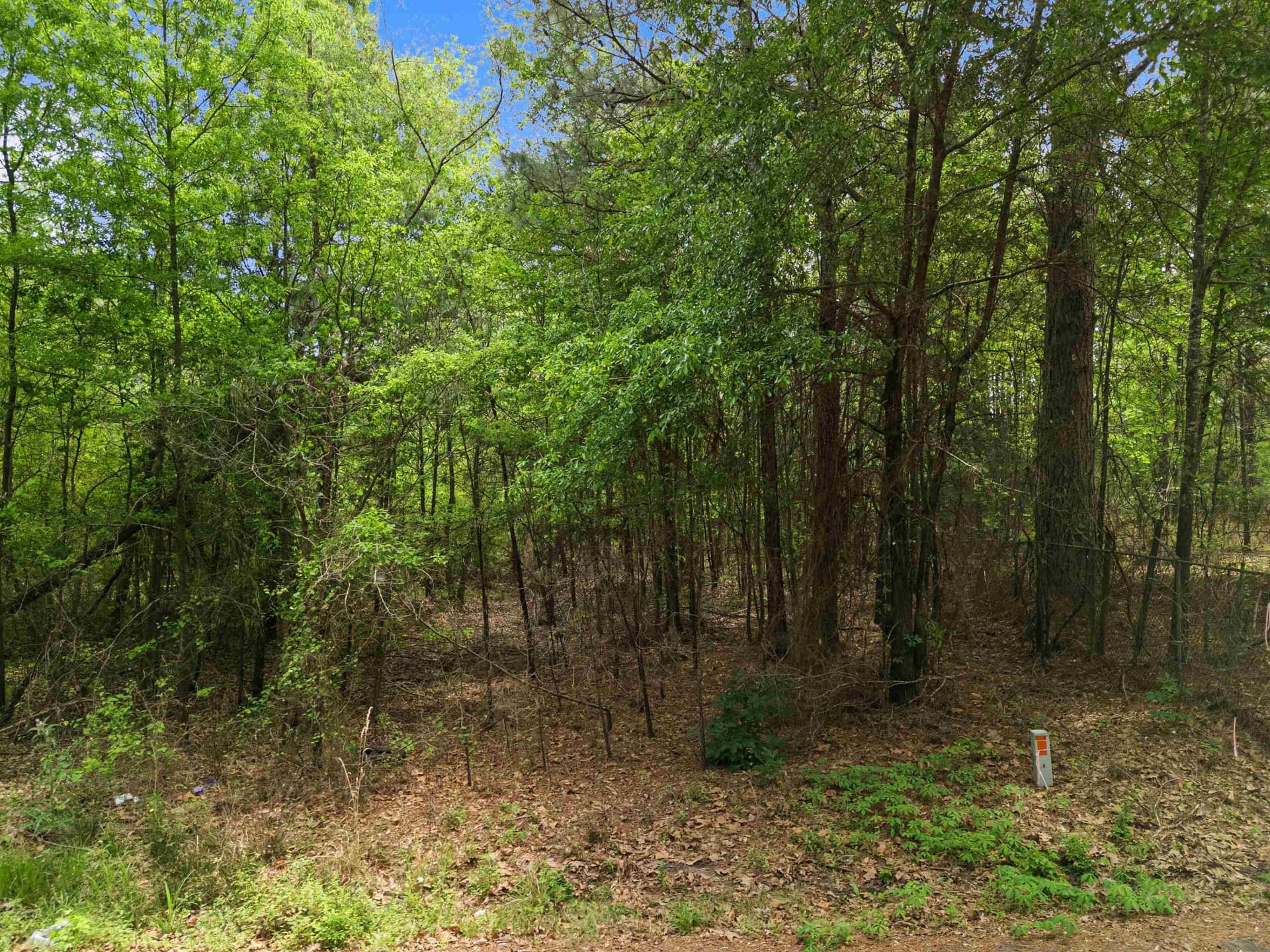 16.99 acres in Gregg County - photo 21