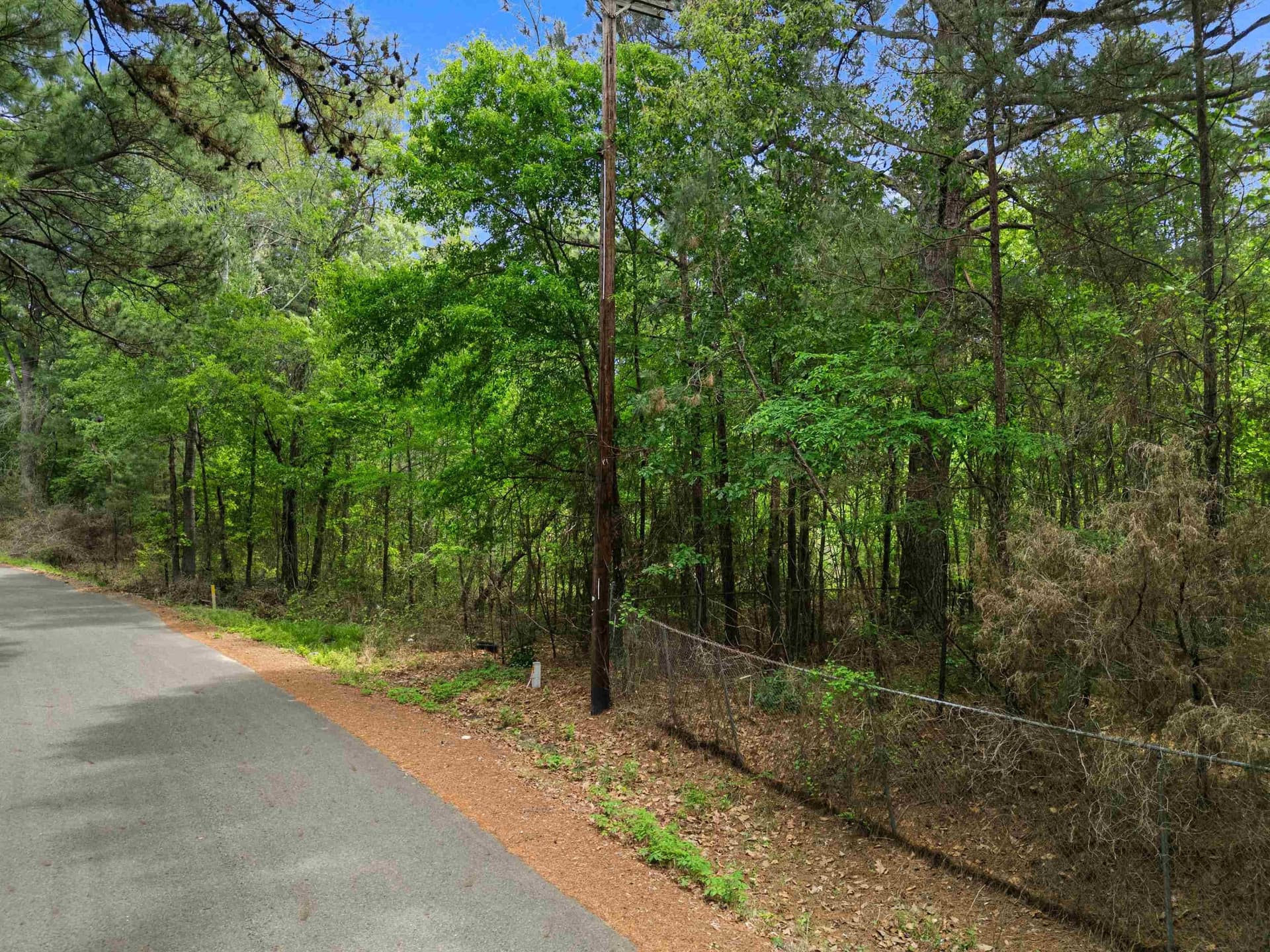 16.99 acres in Gregg County gallery image 3