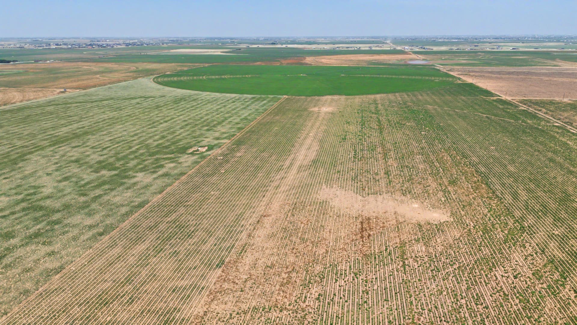 320 acres in Lynn County - photo 7