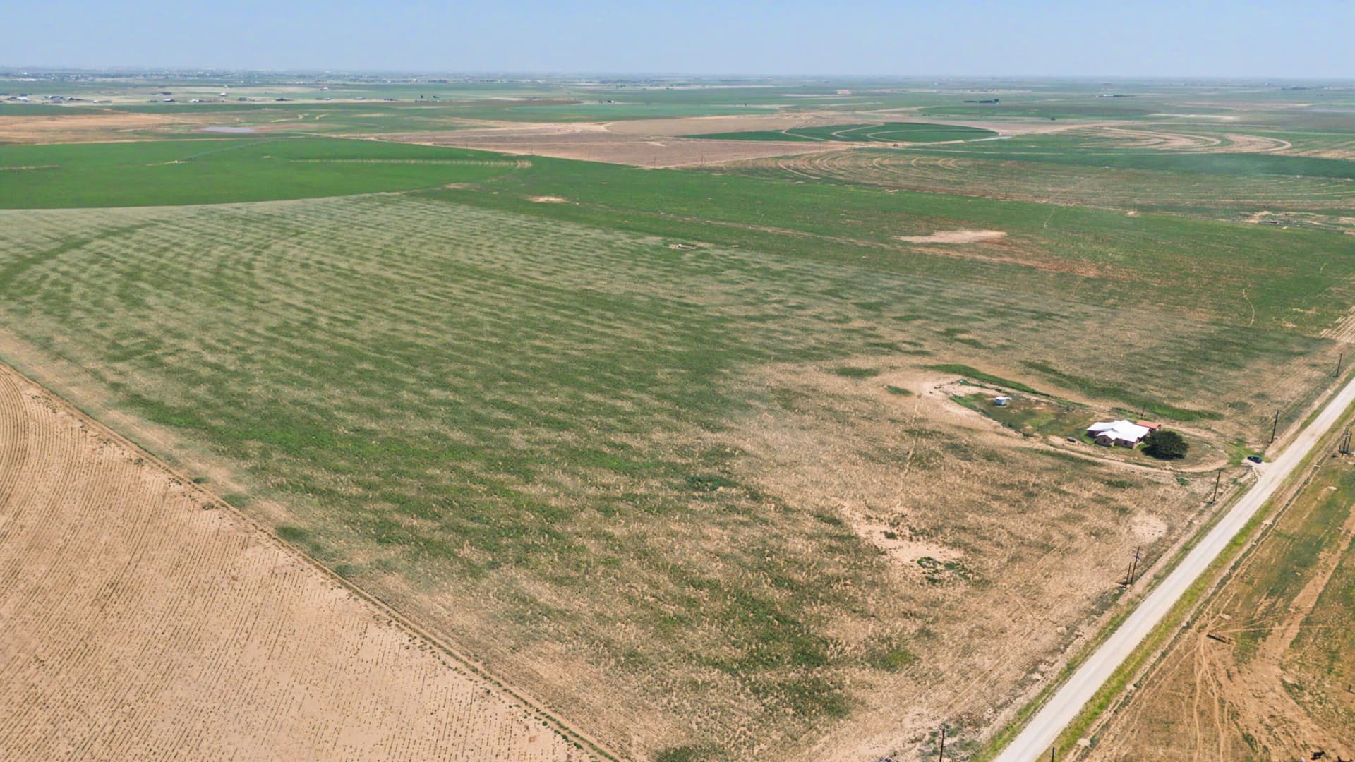 320 acres in Lynn County - photo 10