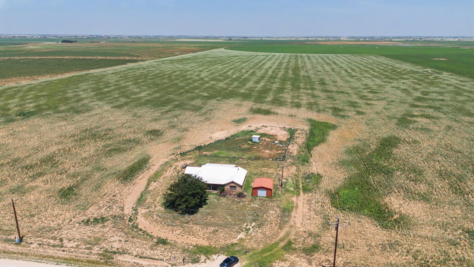 320 acres in Lynn County - photo 4
