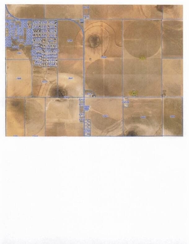 320 acres in Lynn County gallery image 2