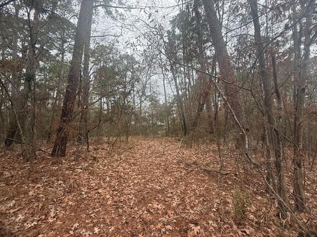 0.87 acres in Texas County - photo 7