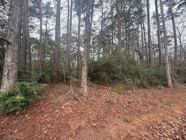 0.87 acres in Texas County - photo 6