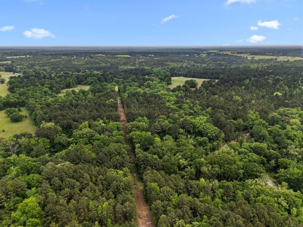 104.5 acres in Smith County gallery image 3