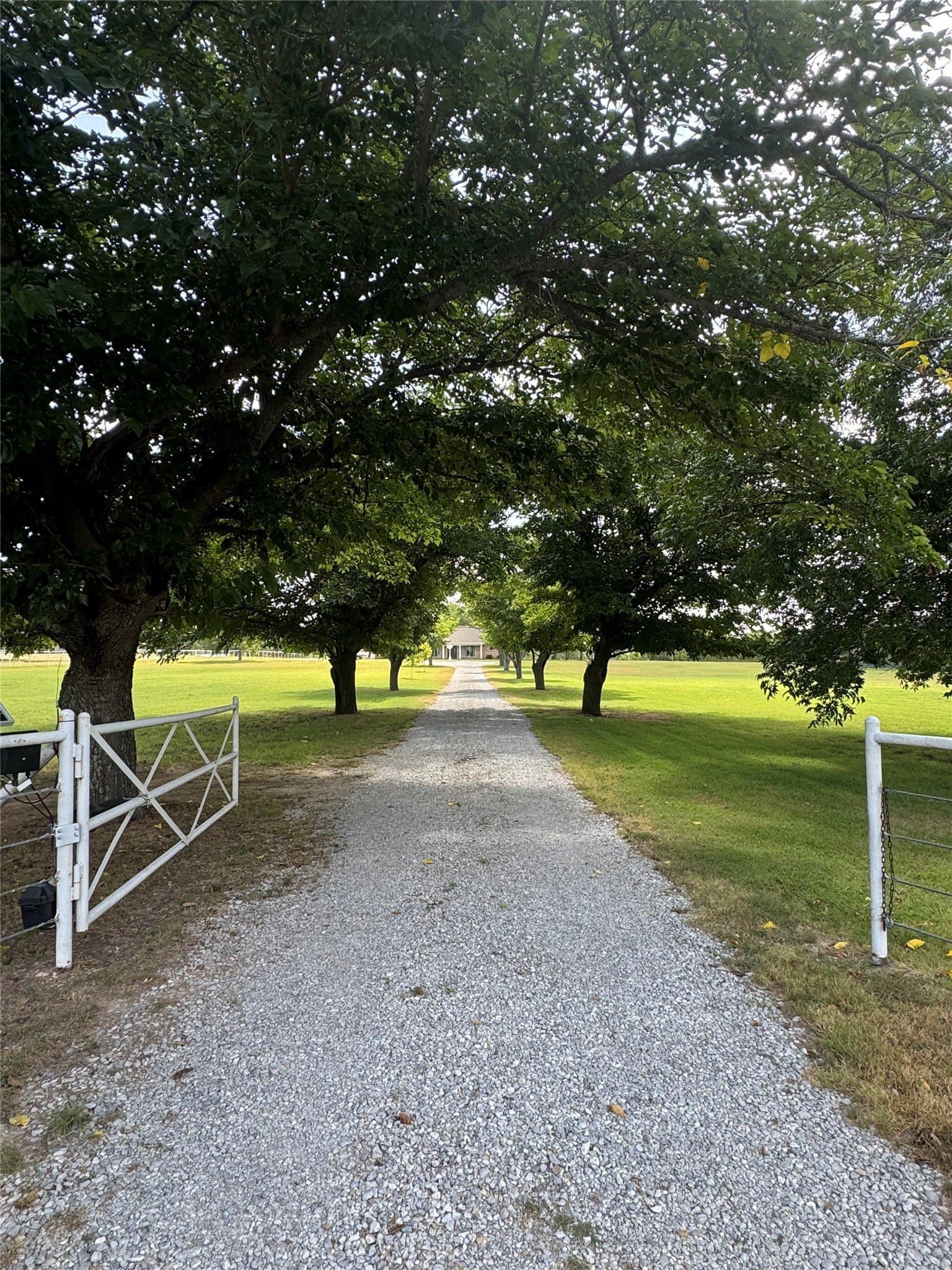 4.49 acres in Wise County - photo 6