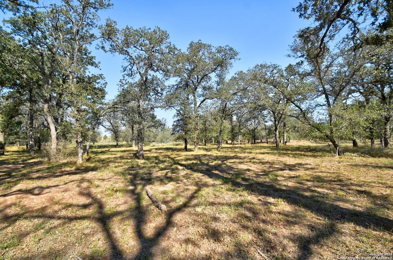 11.15 acres in Guadalupe County - photo 23