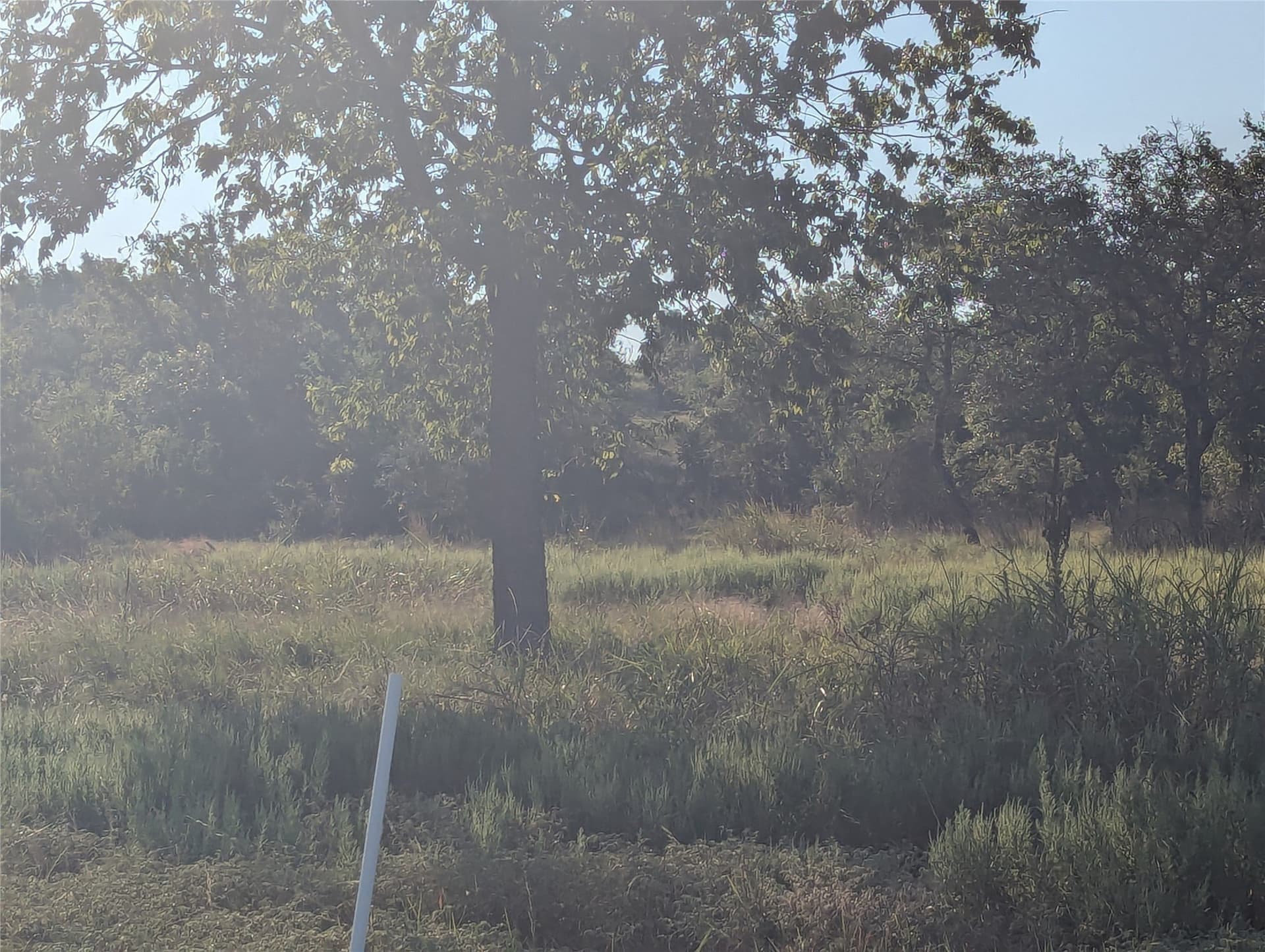 10.01 acres in Hamilton County - photo 17