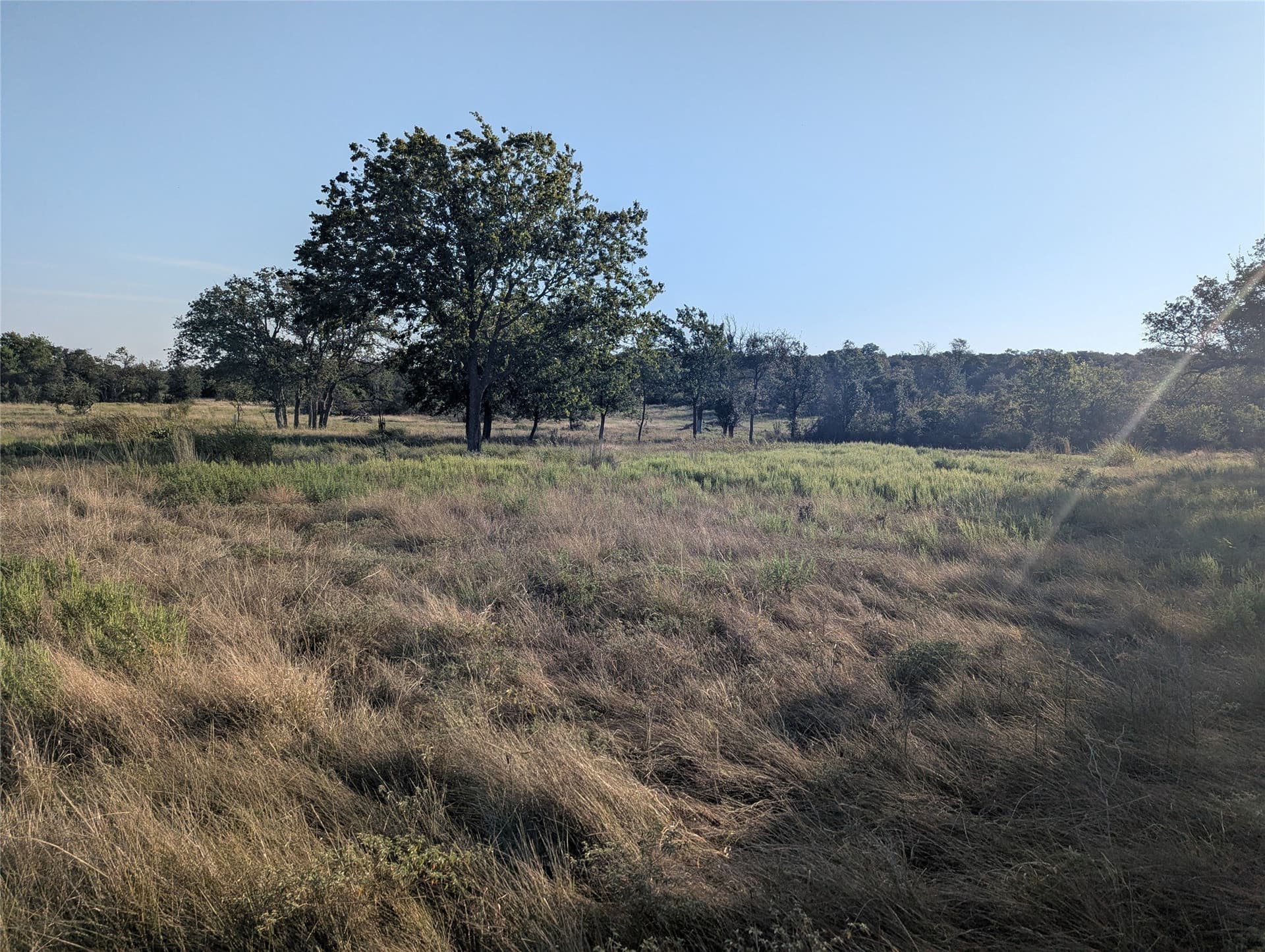 10.01 acres in Hamilton County - photo 15