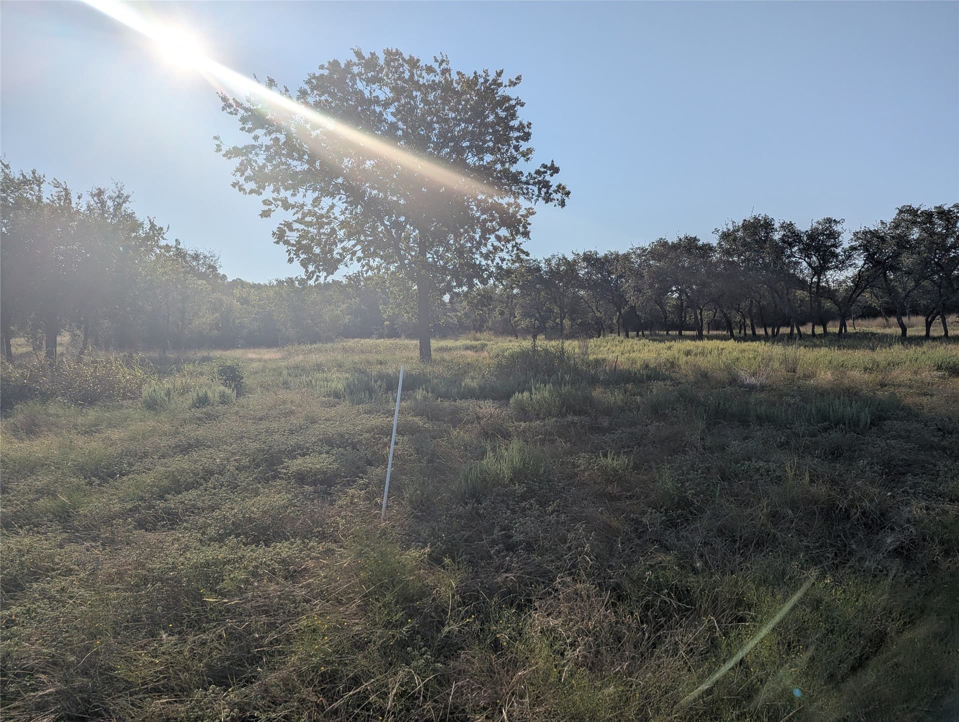 10.01 acres in Hamilton County - photo 16