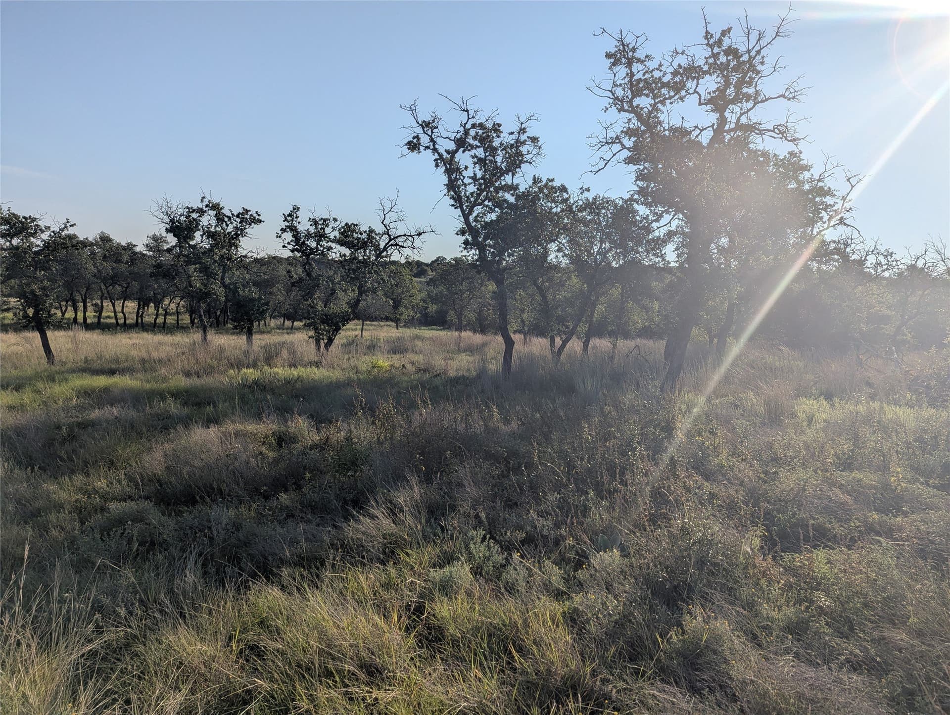10.01 acres in Hamilton County - photo 9
