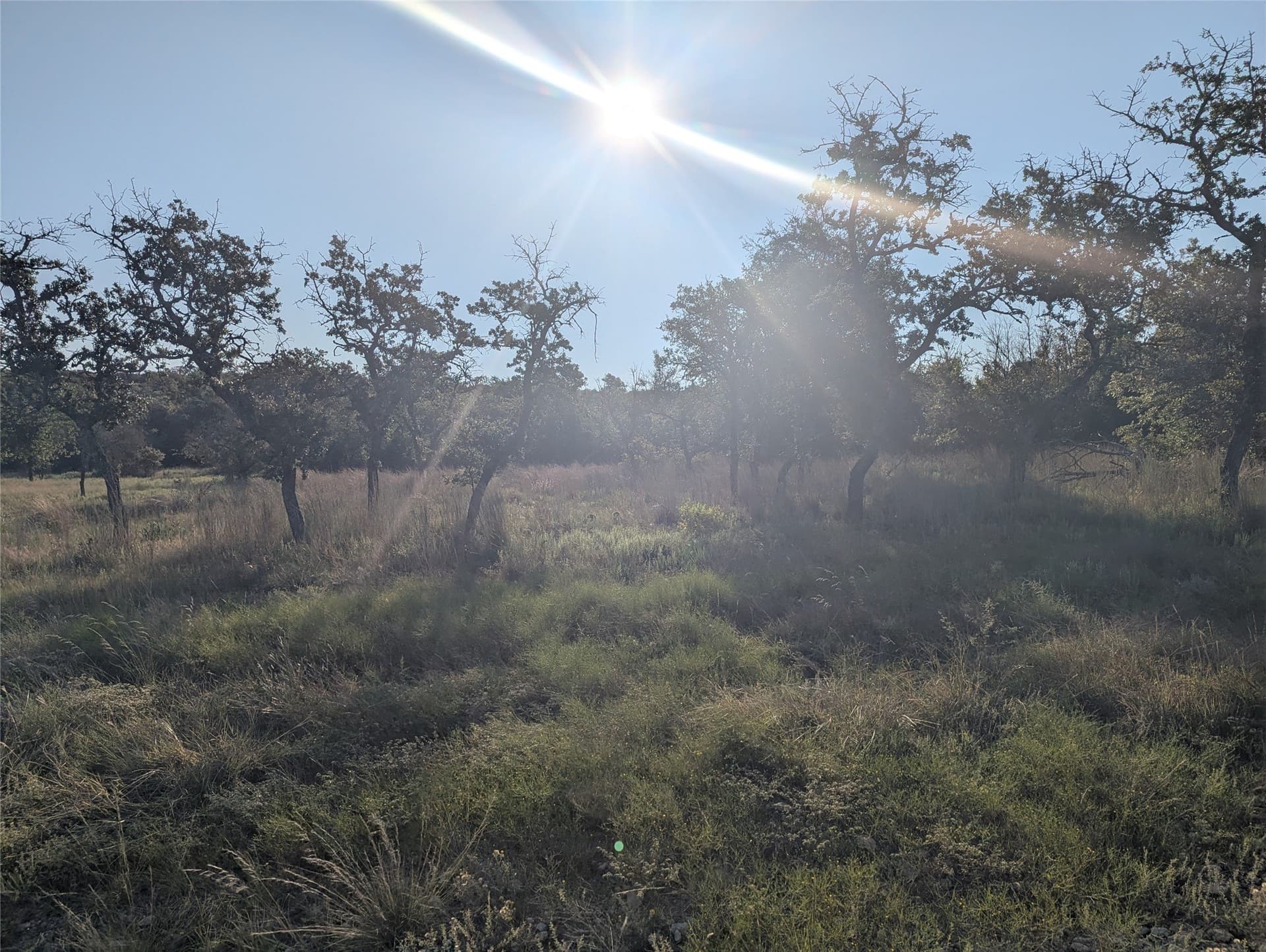 10.01 acres in Hamilton County - photo 6