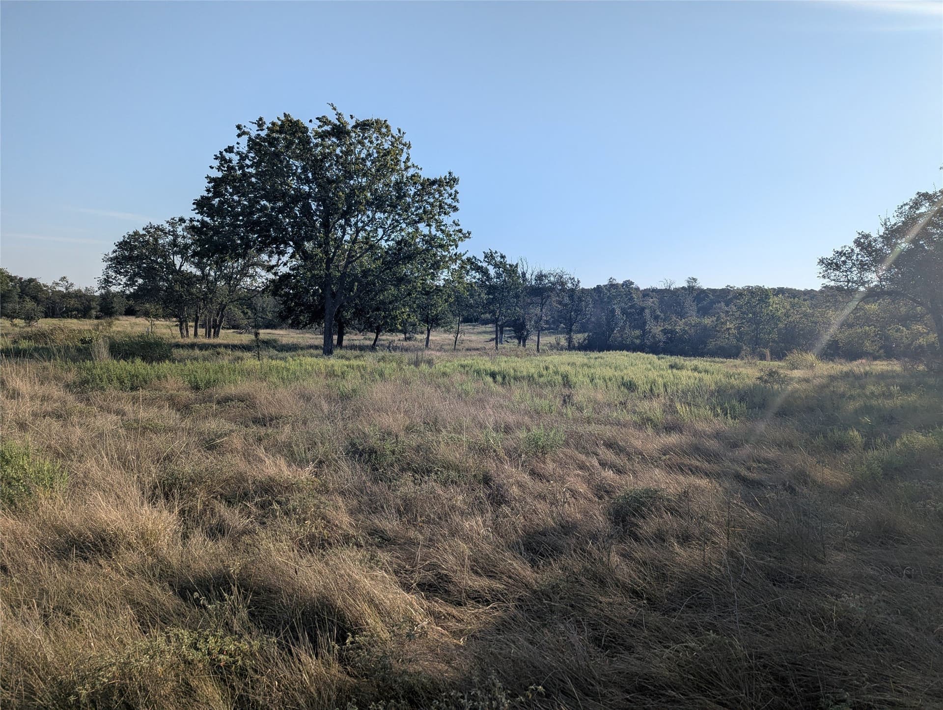 10.01 acres in Hamilton County - photo 5
