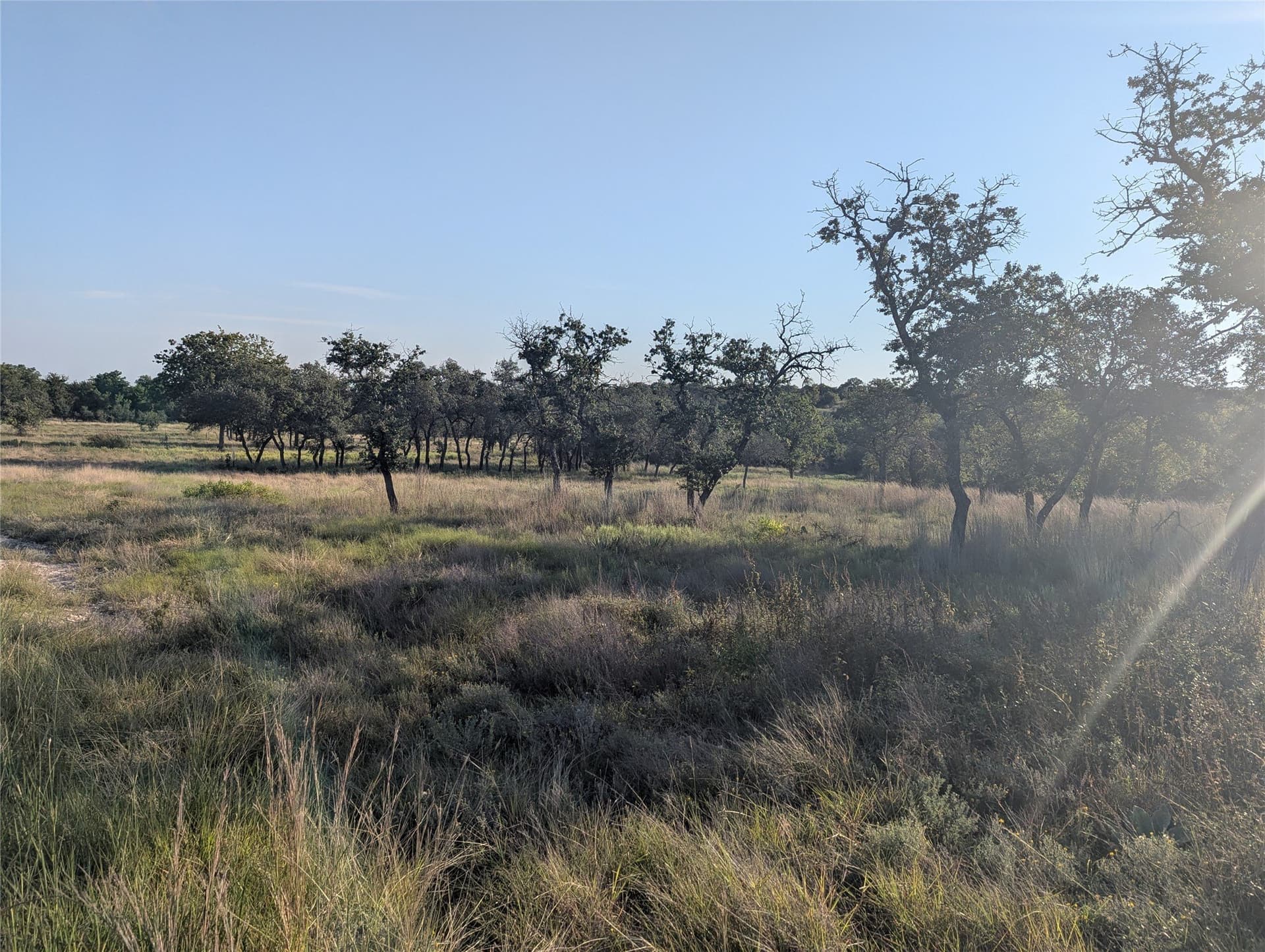 10.01 acres in Hamilton County - photo 8
