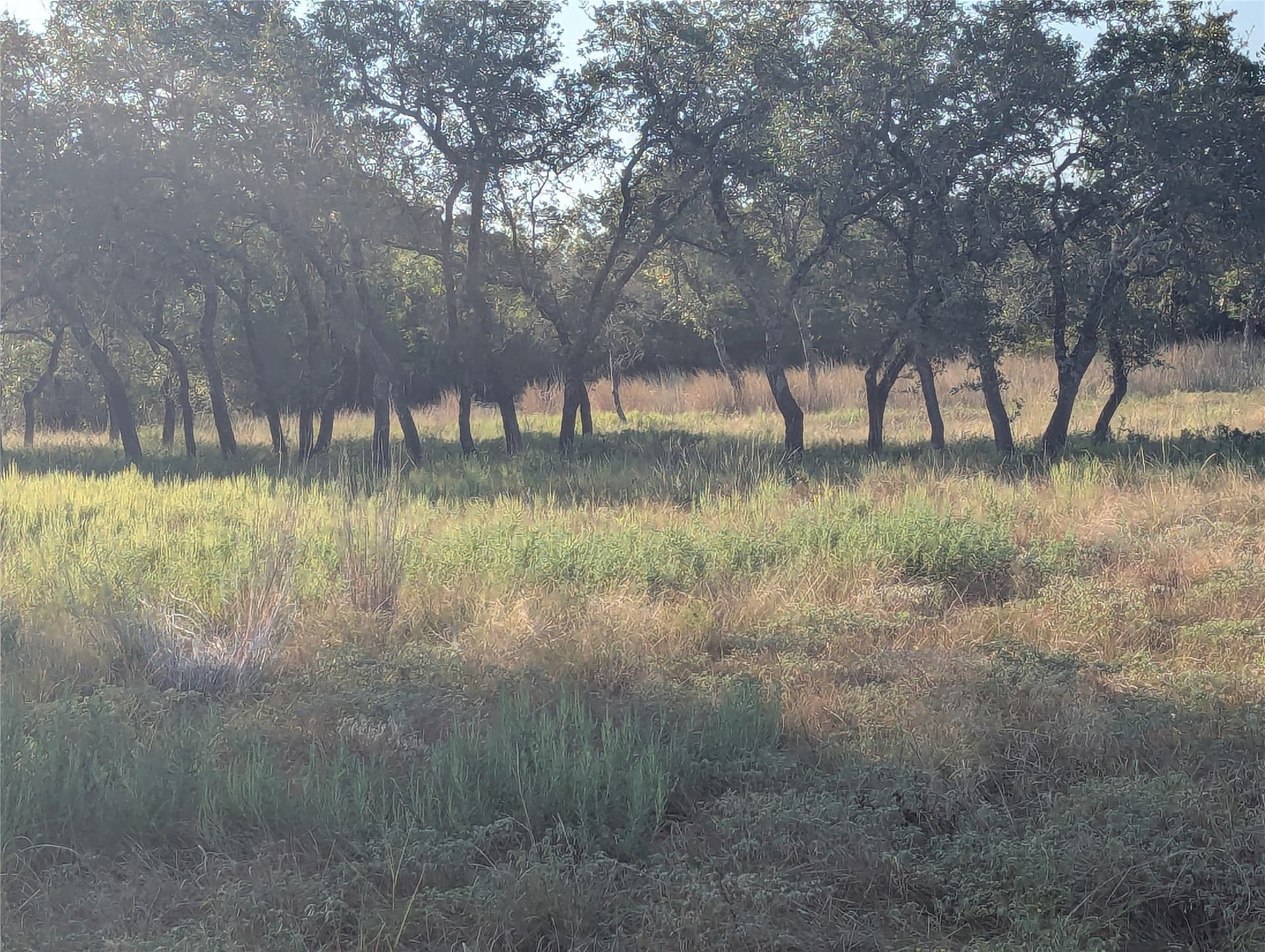 10.01 acres in Hamilton County - photo 2