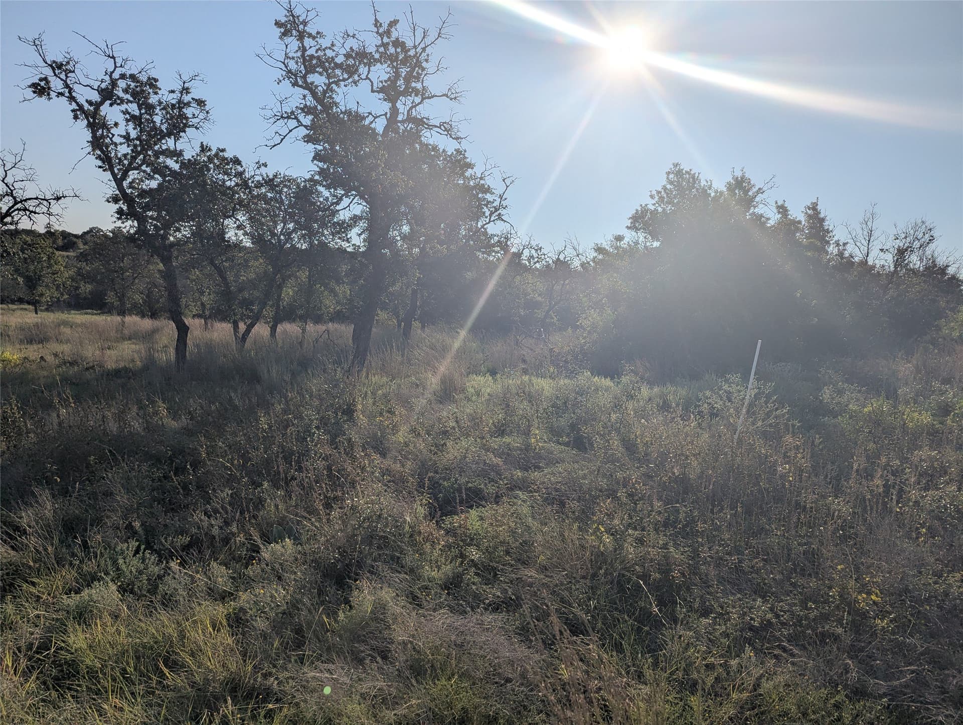 10.01 acres in Hamilton County - photo 4